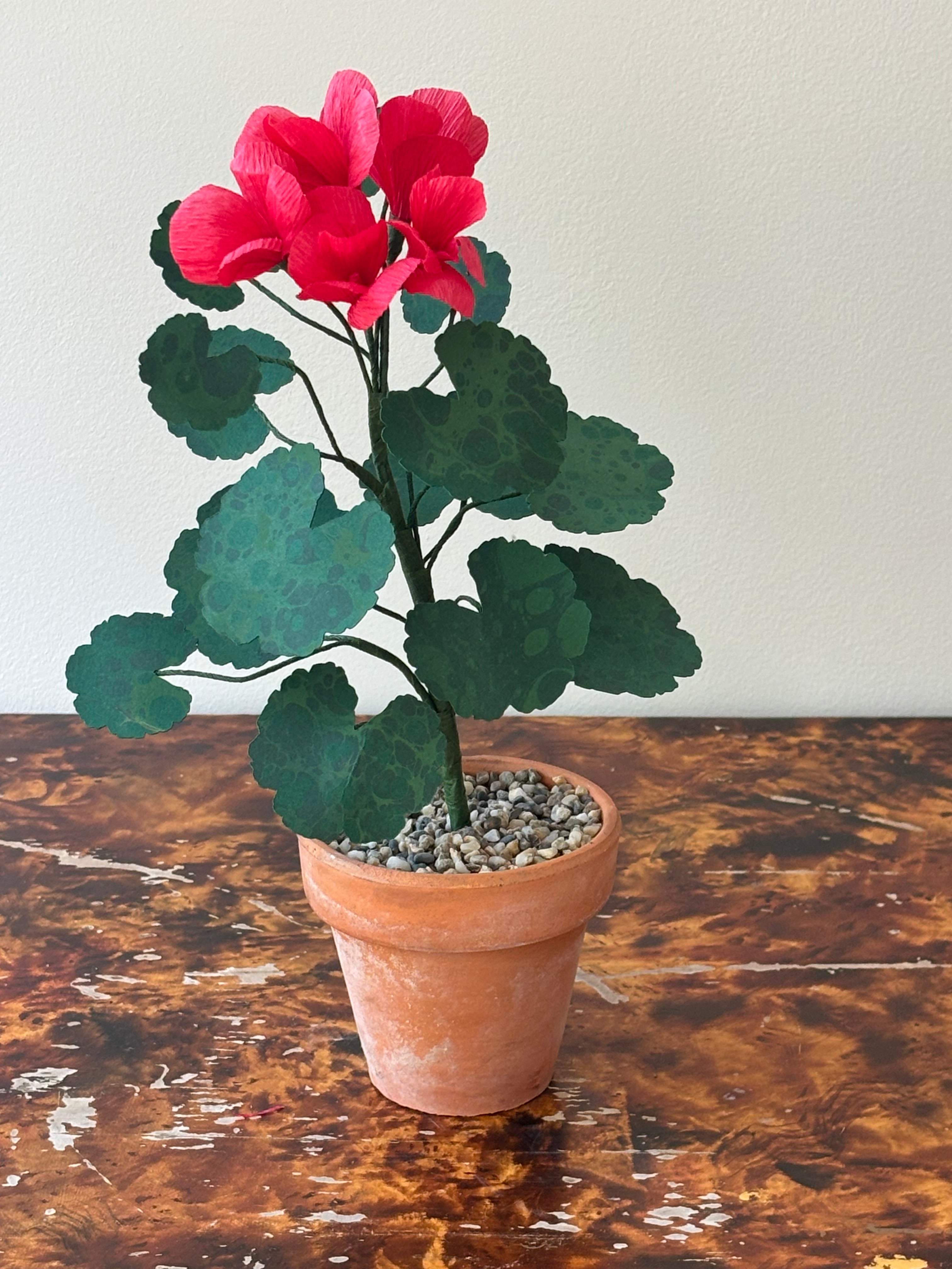 Paper Geranium