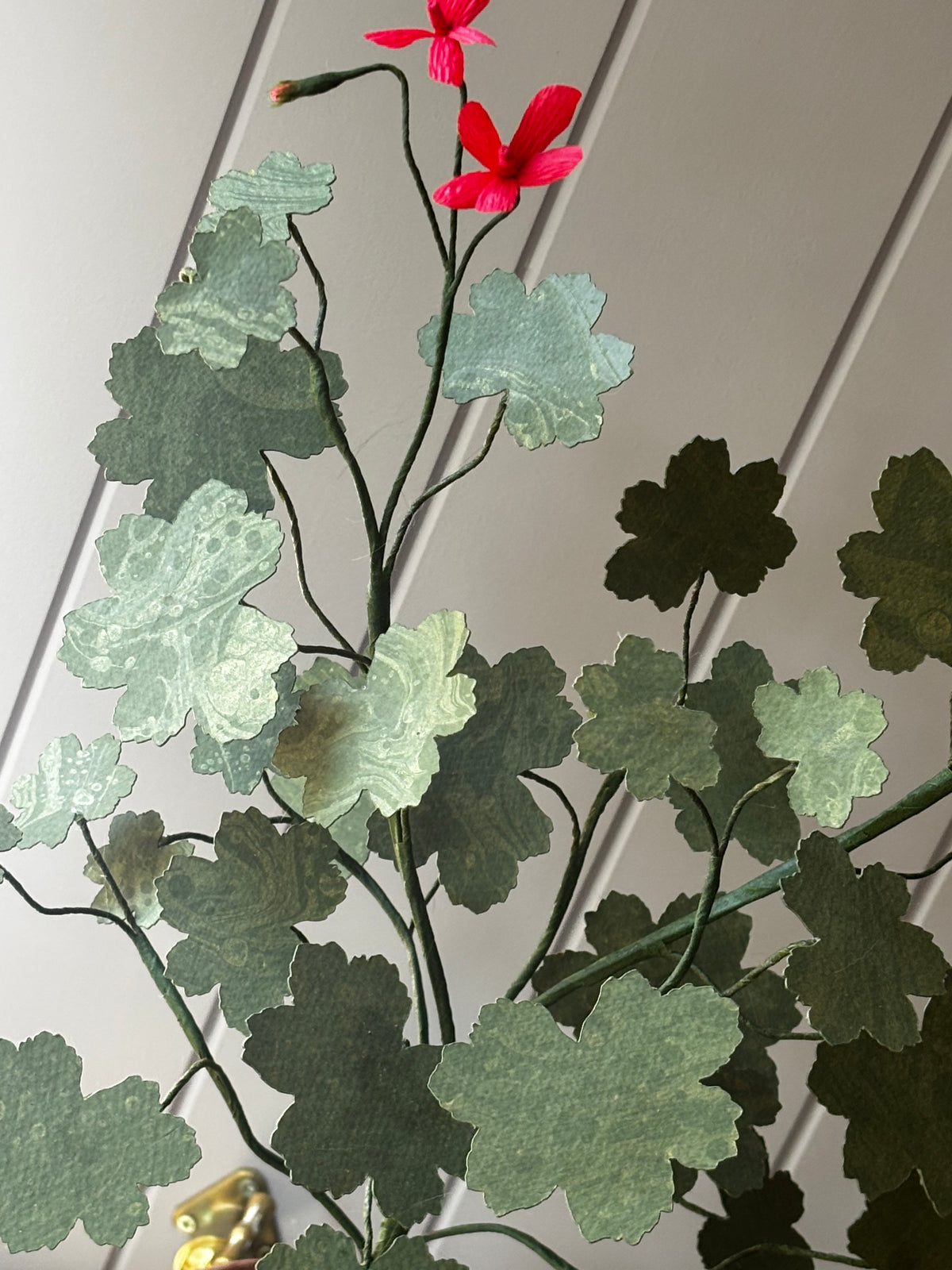 Paper geranium