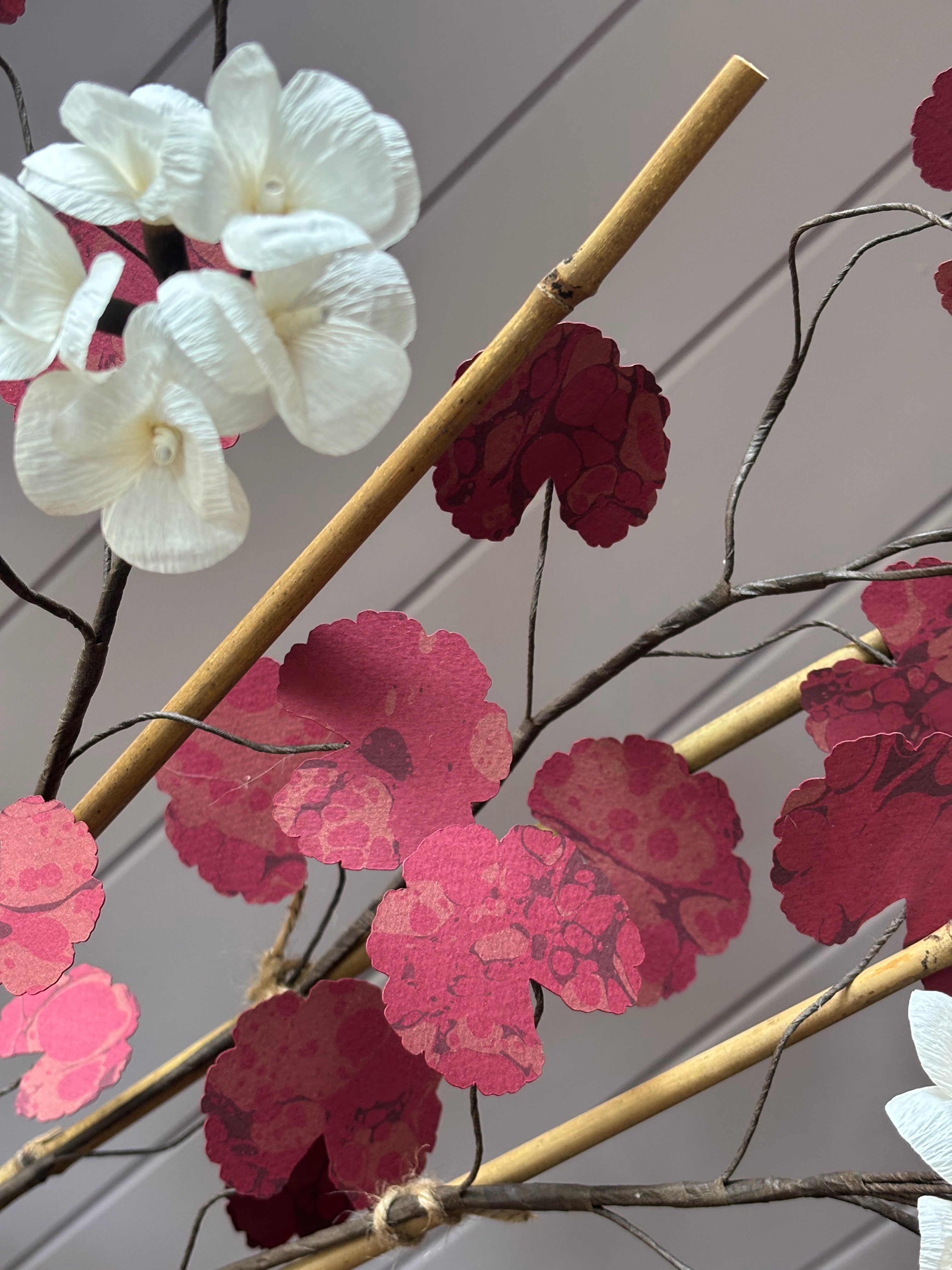 Paper geranium