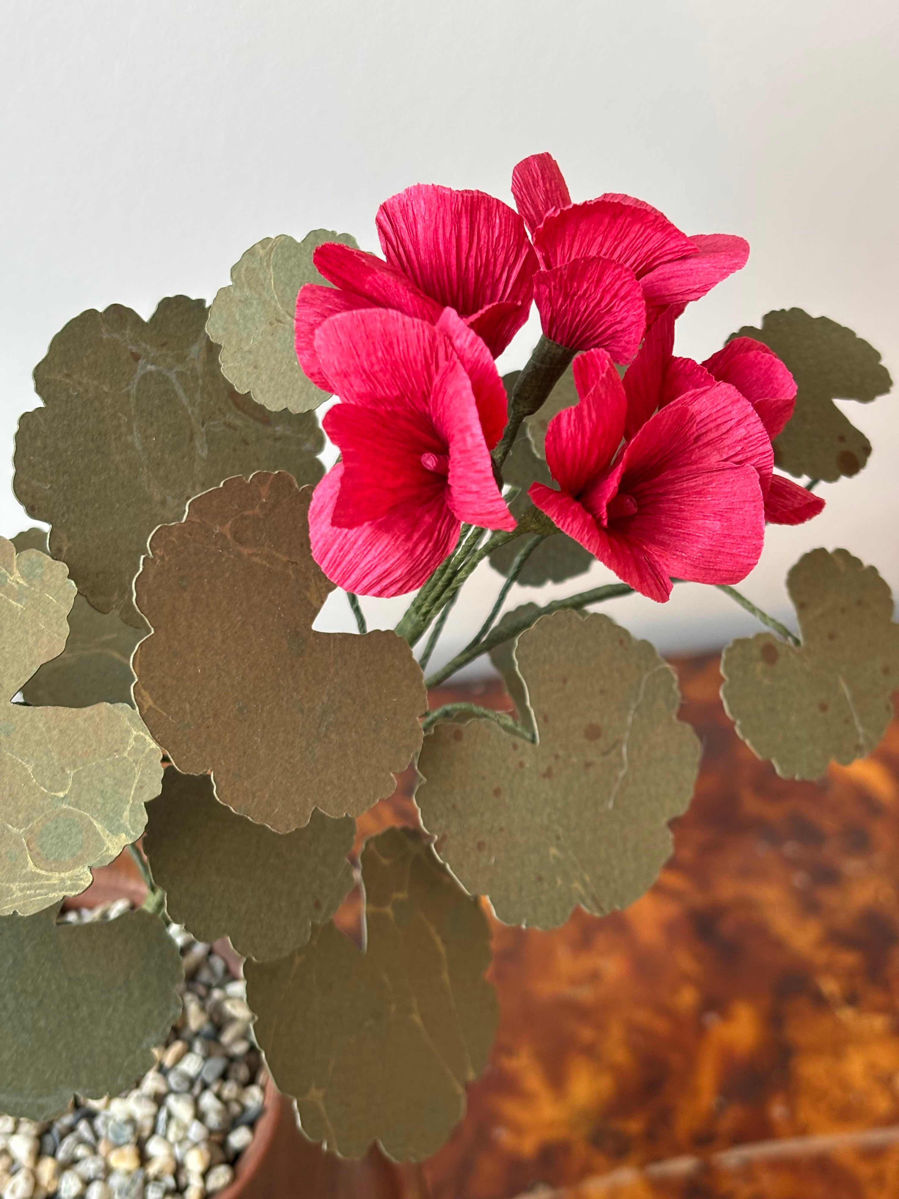 Paper Geranium