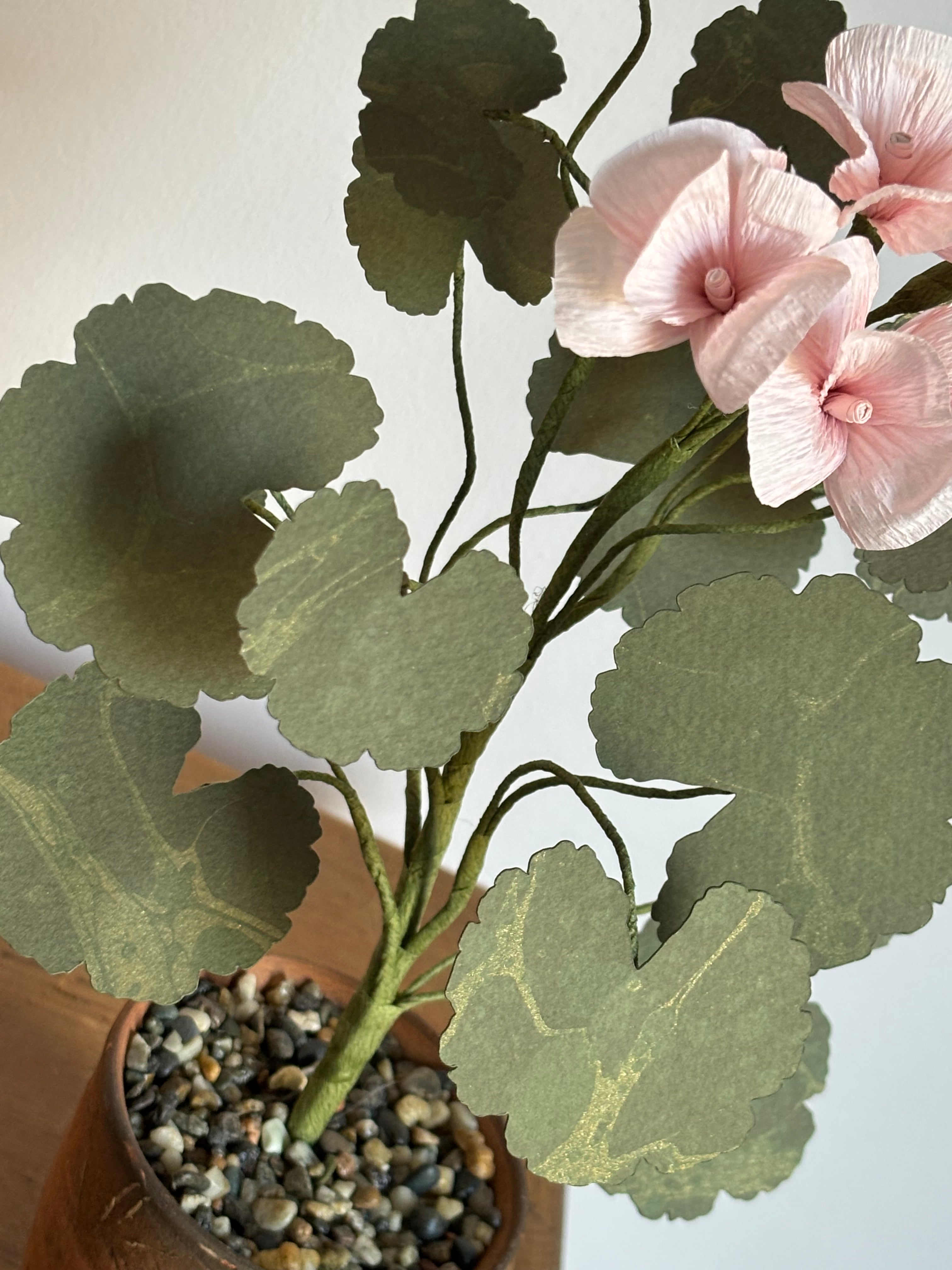 Paper Geranium
