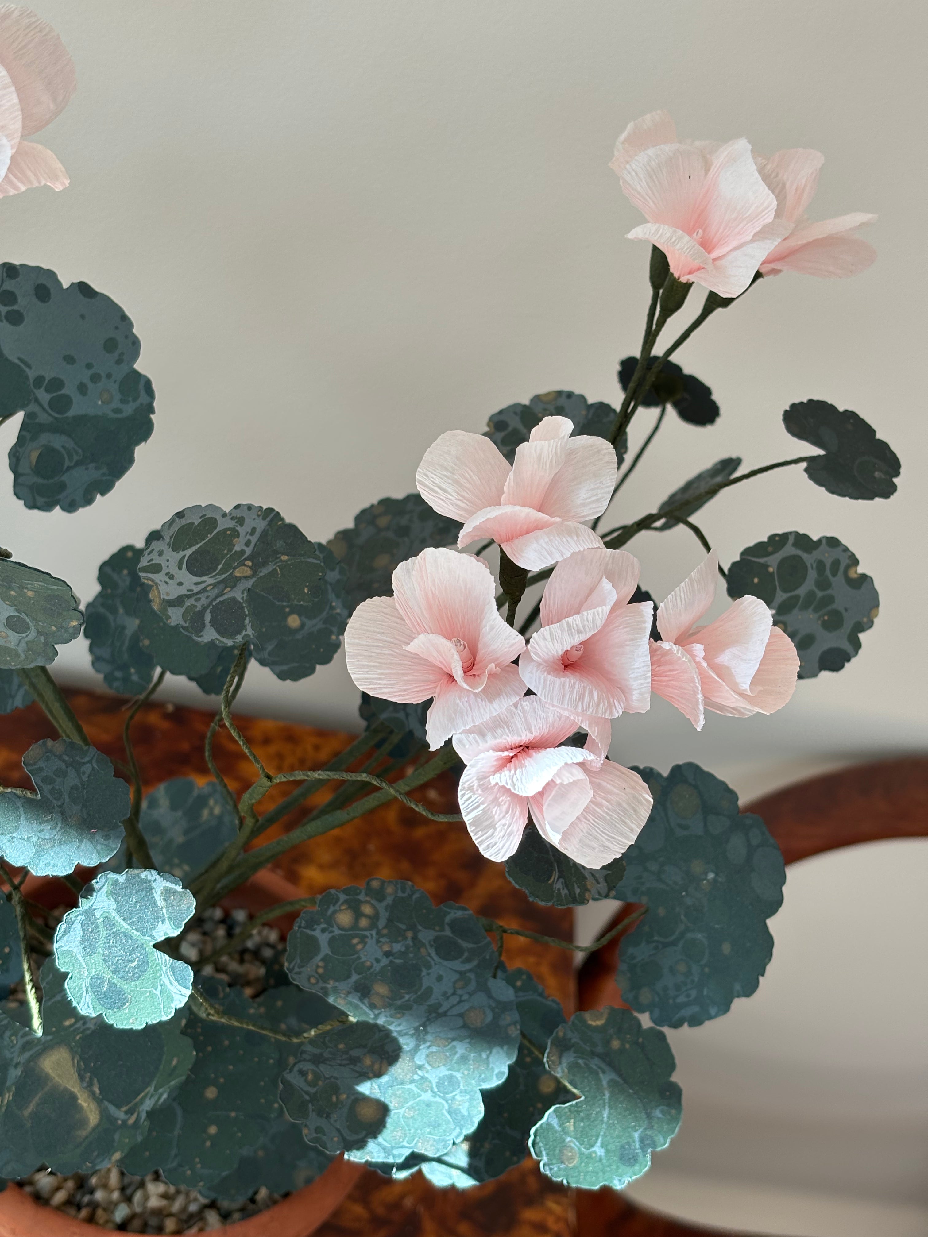 Paper Geranium