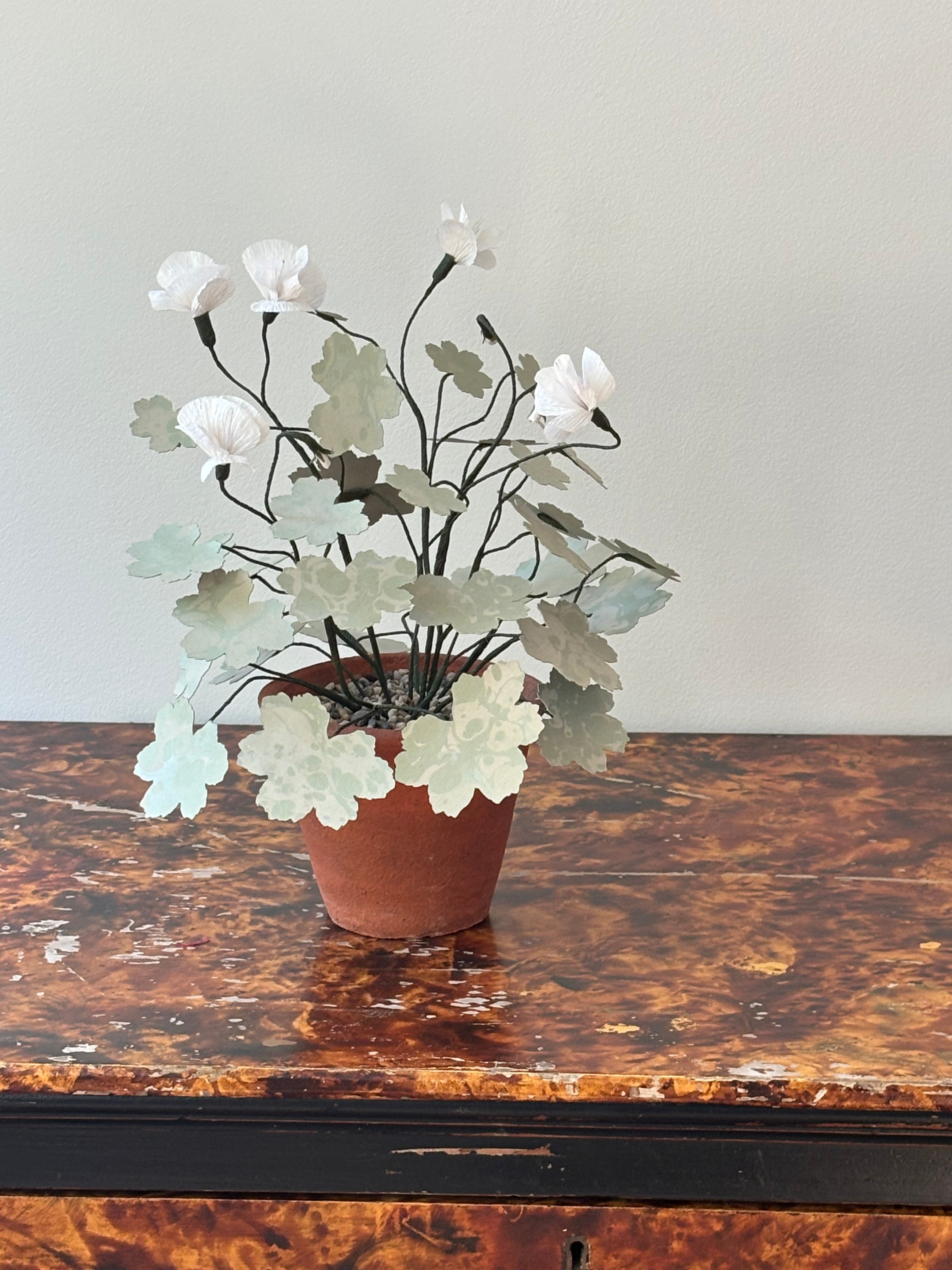 Paper Geranium