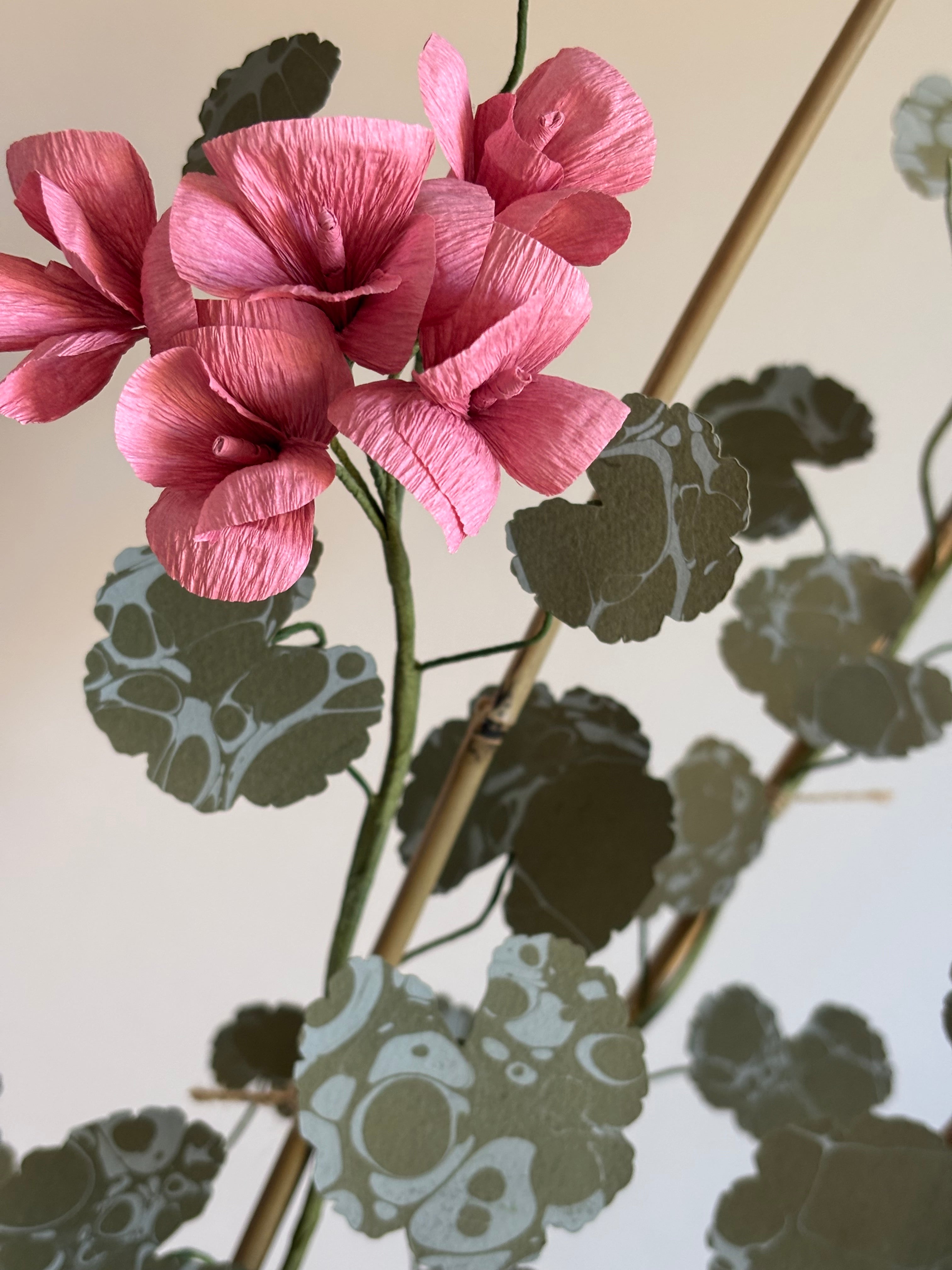 Paper Geranium