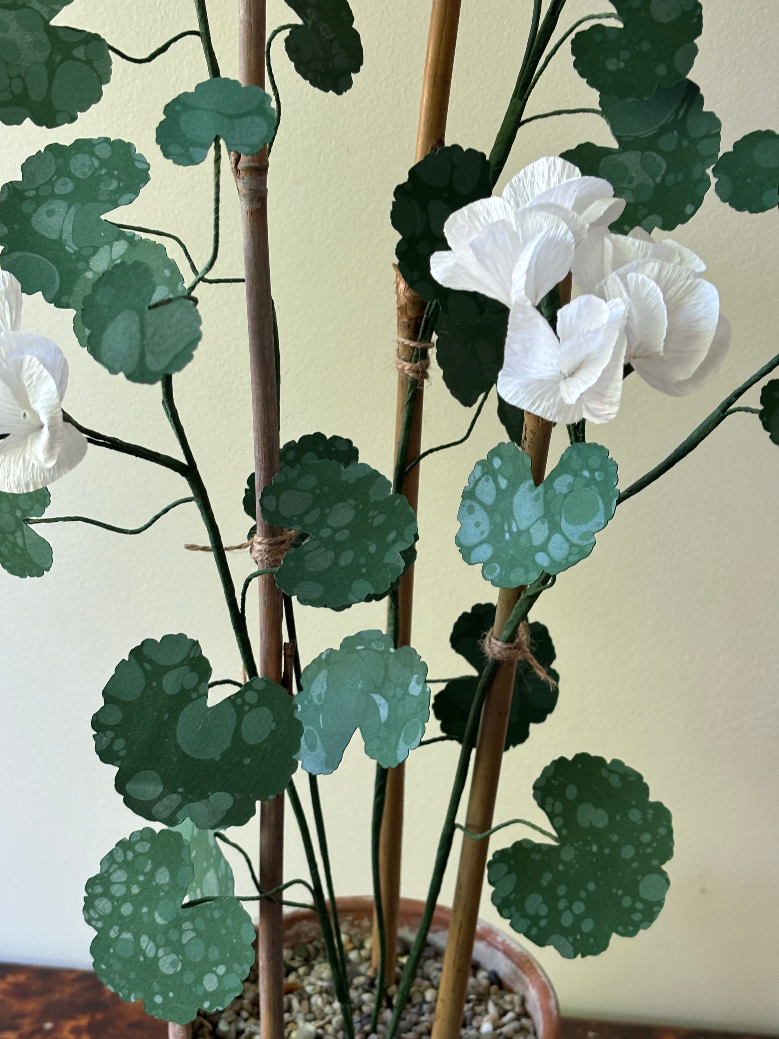 Paper Geranium
