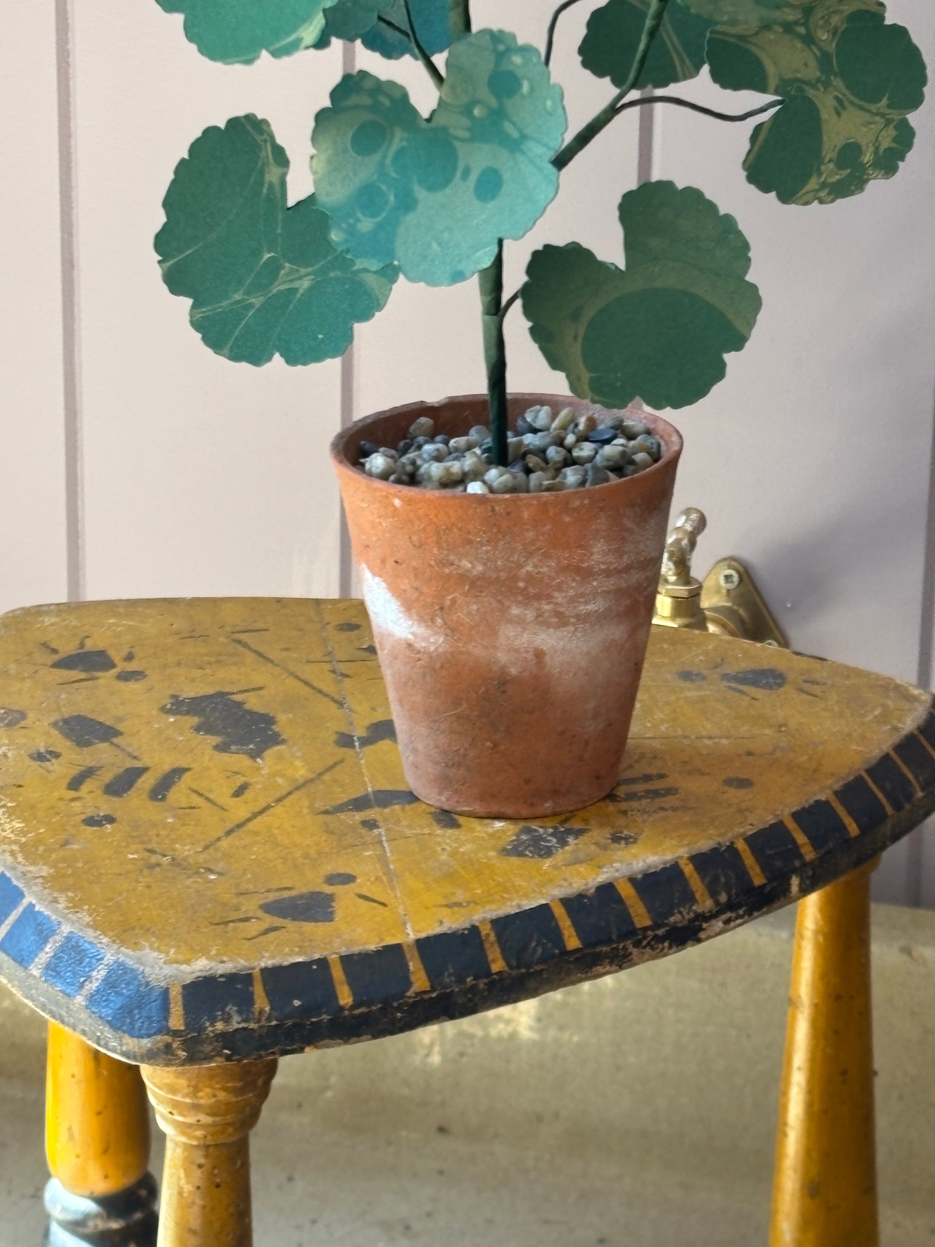Paper geranium
