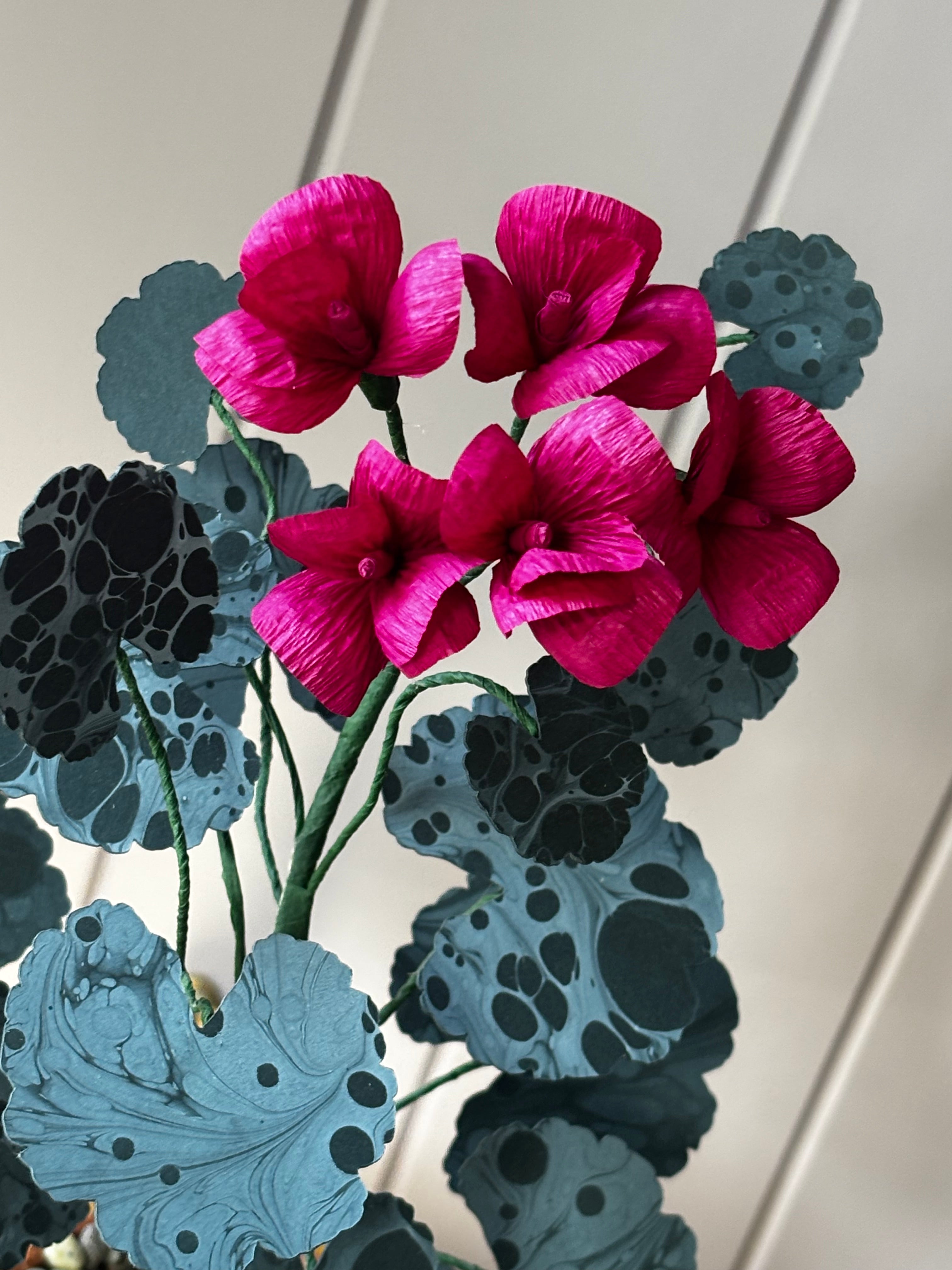 Paper geranium