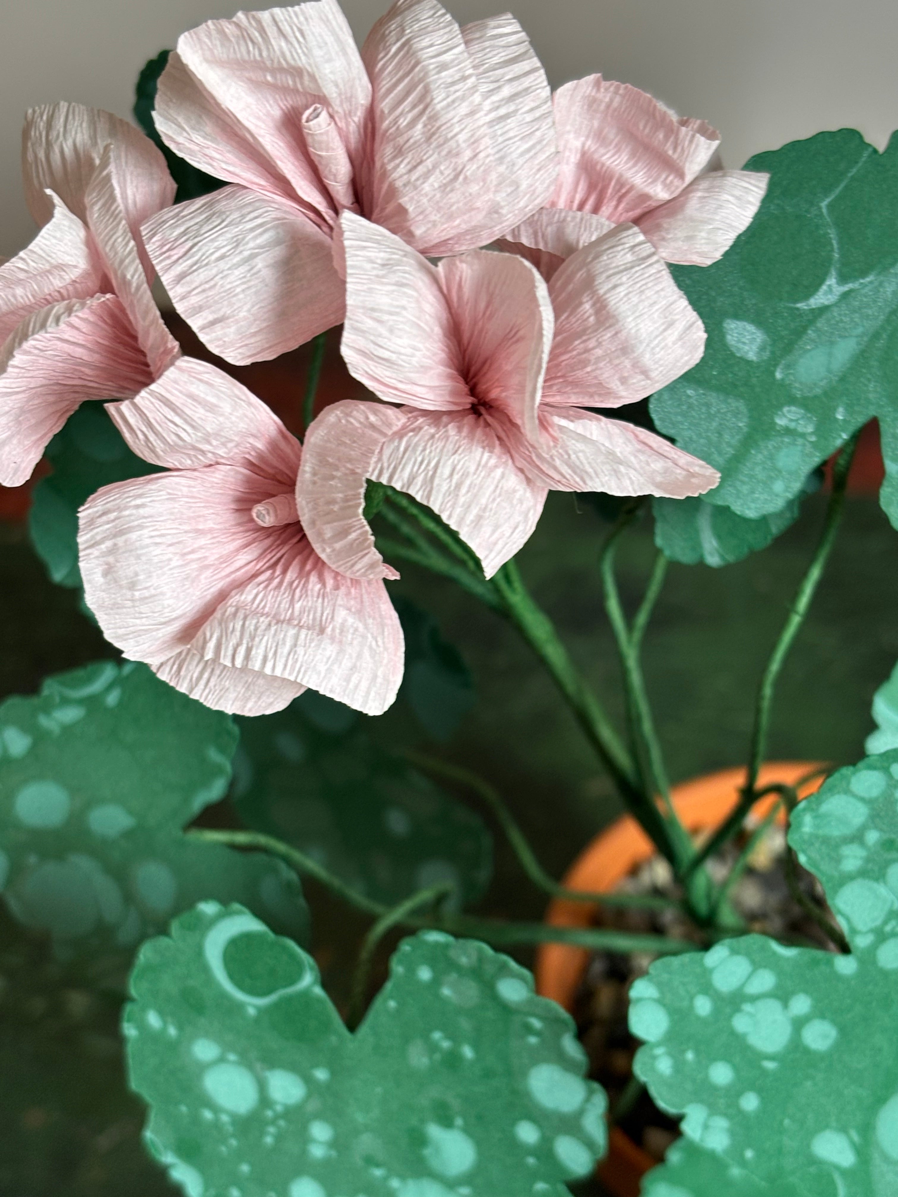 Paper Geranium