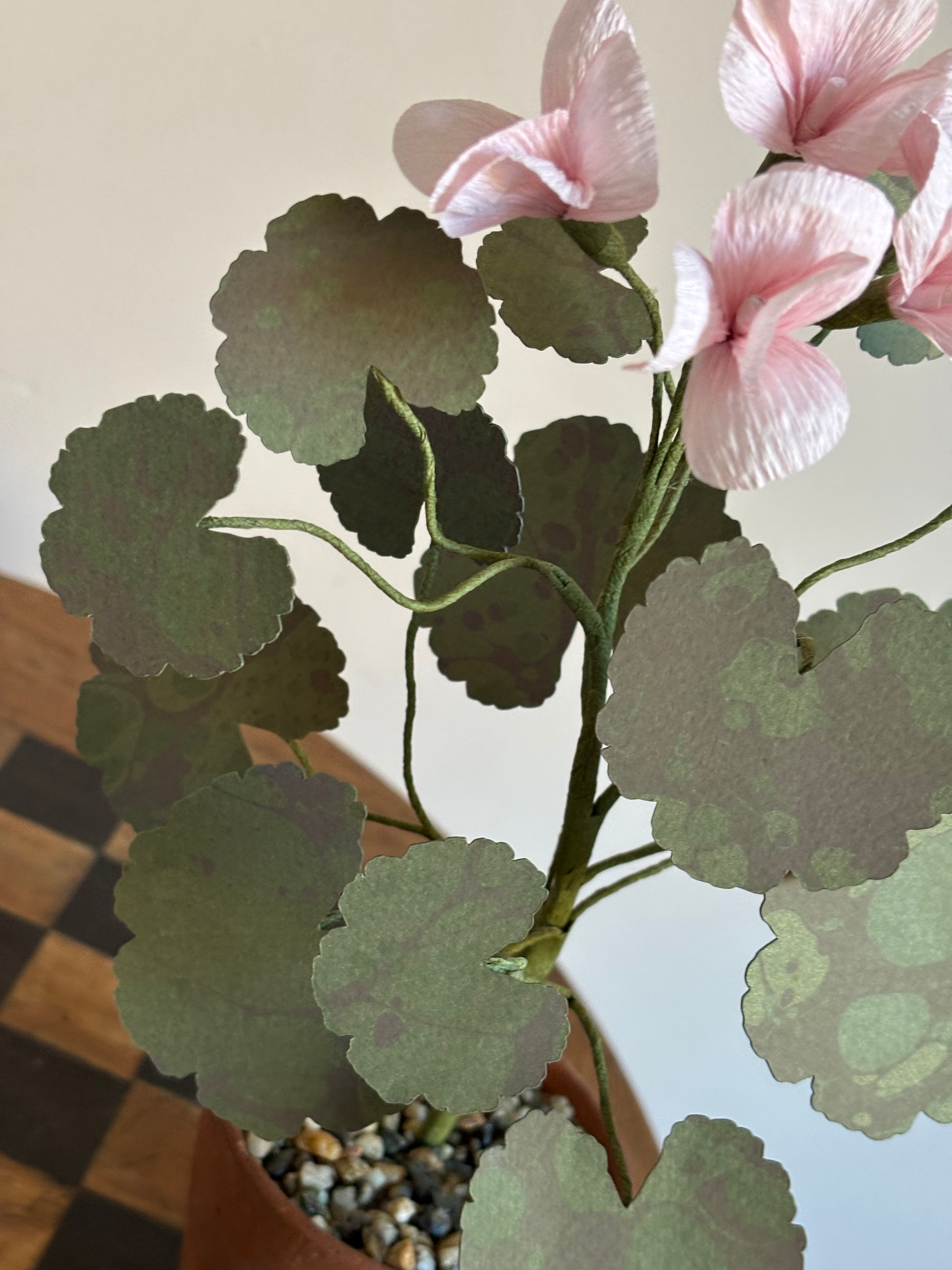 Paper Geranium