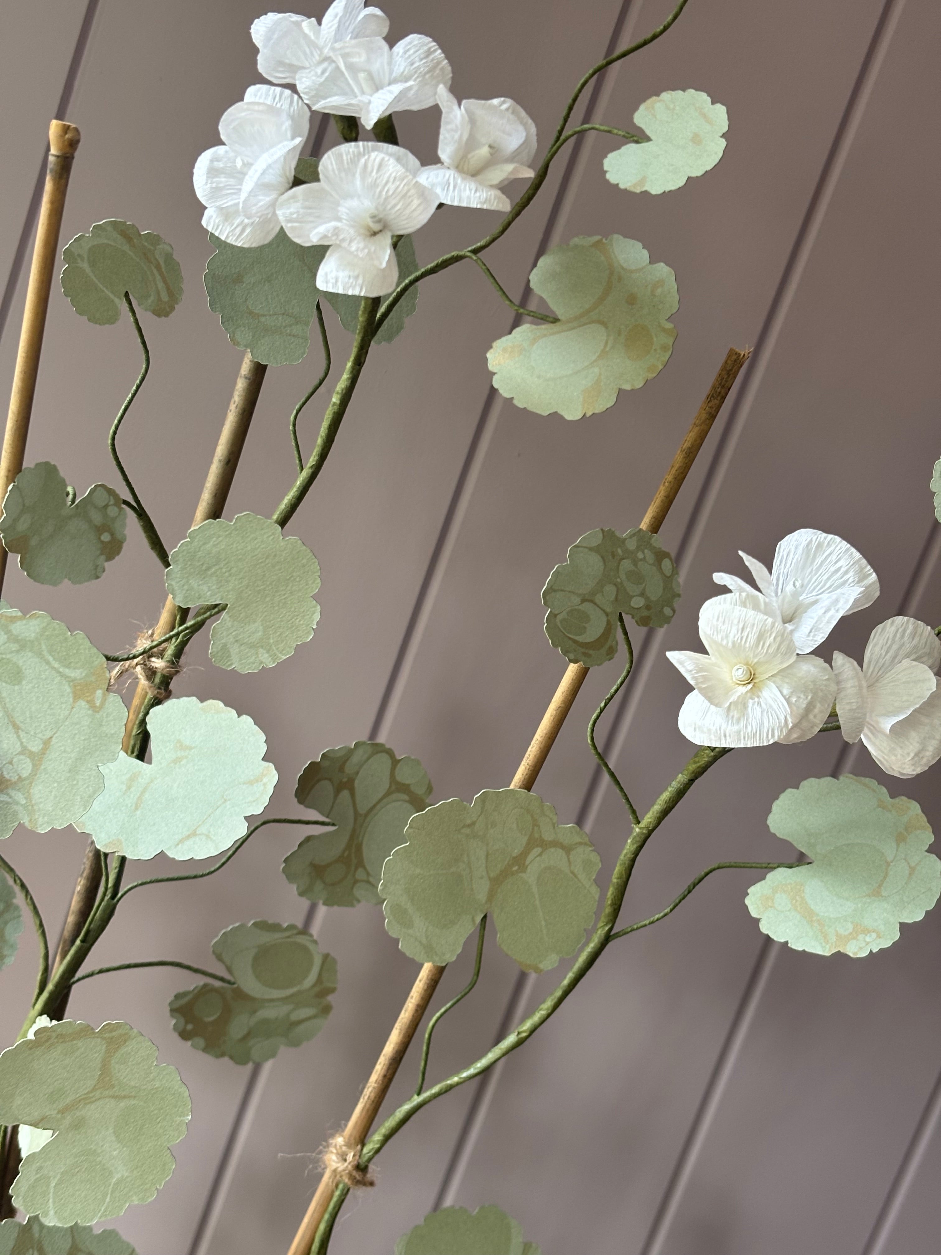 Paper geranium