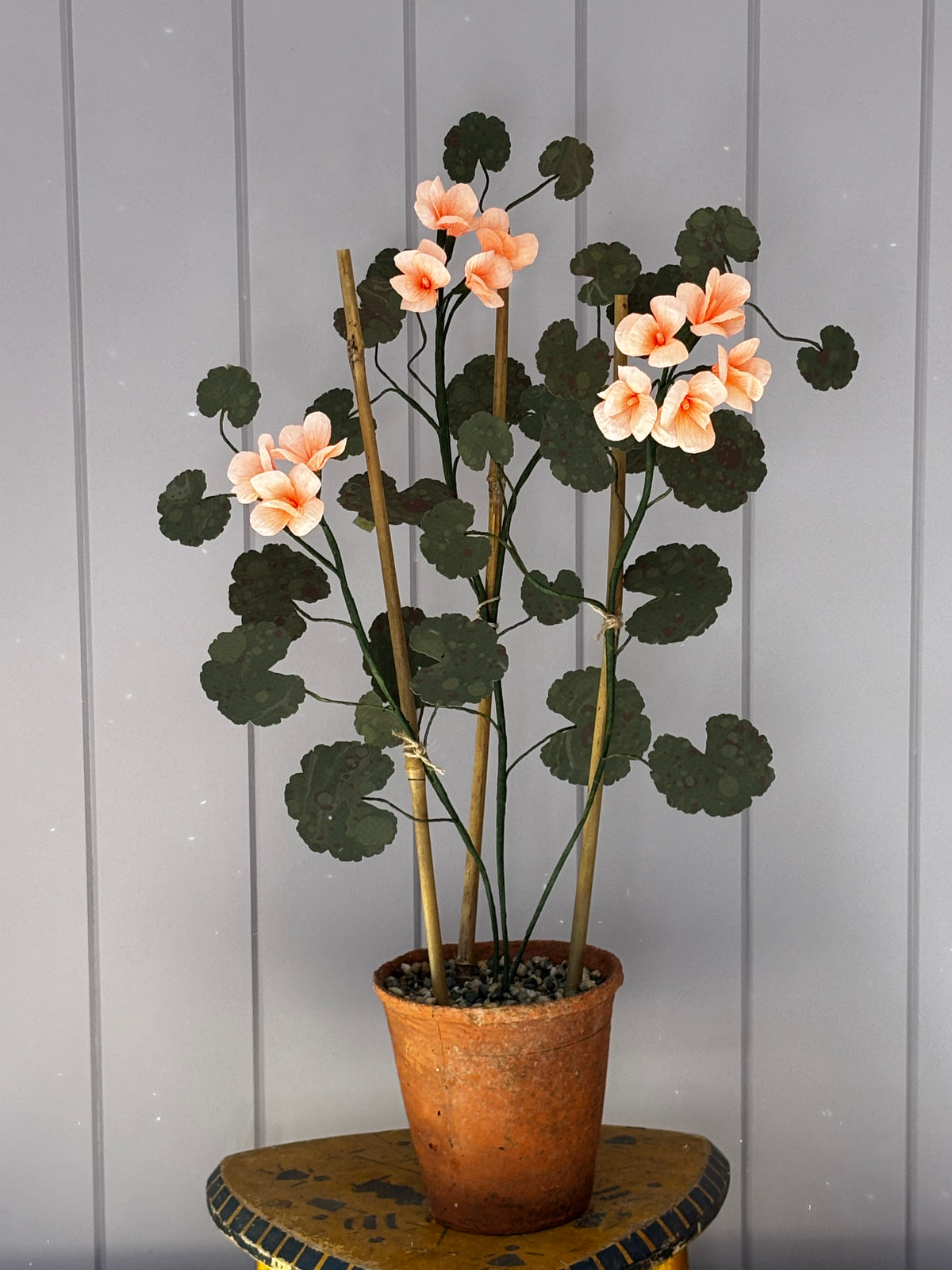 Paper geranium