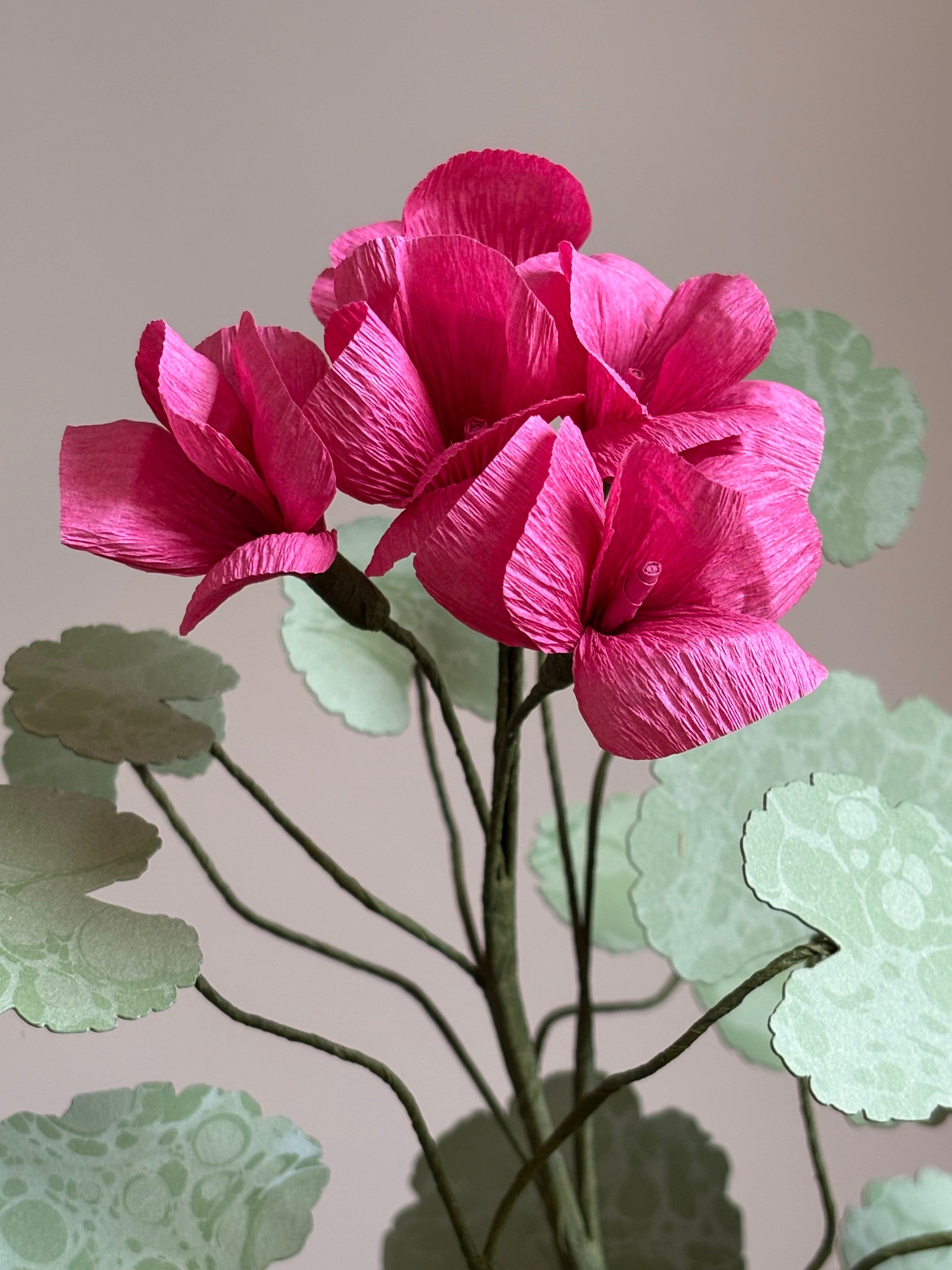 Paper Geranium