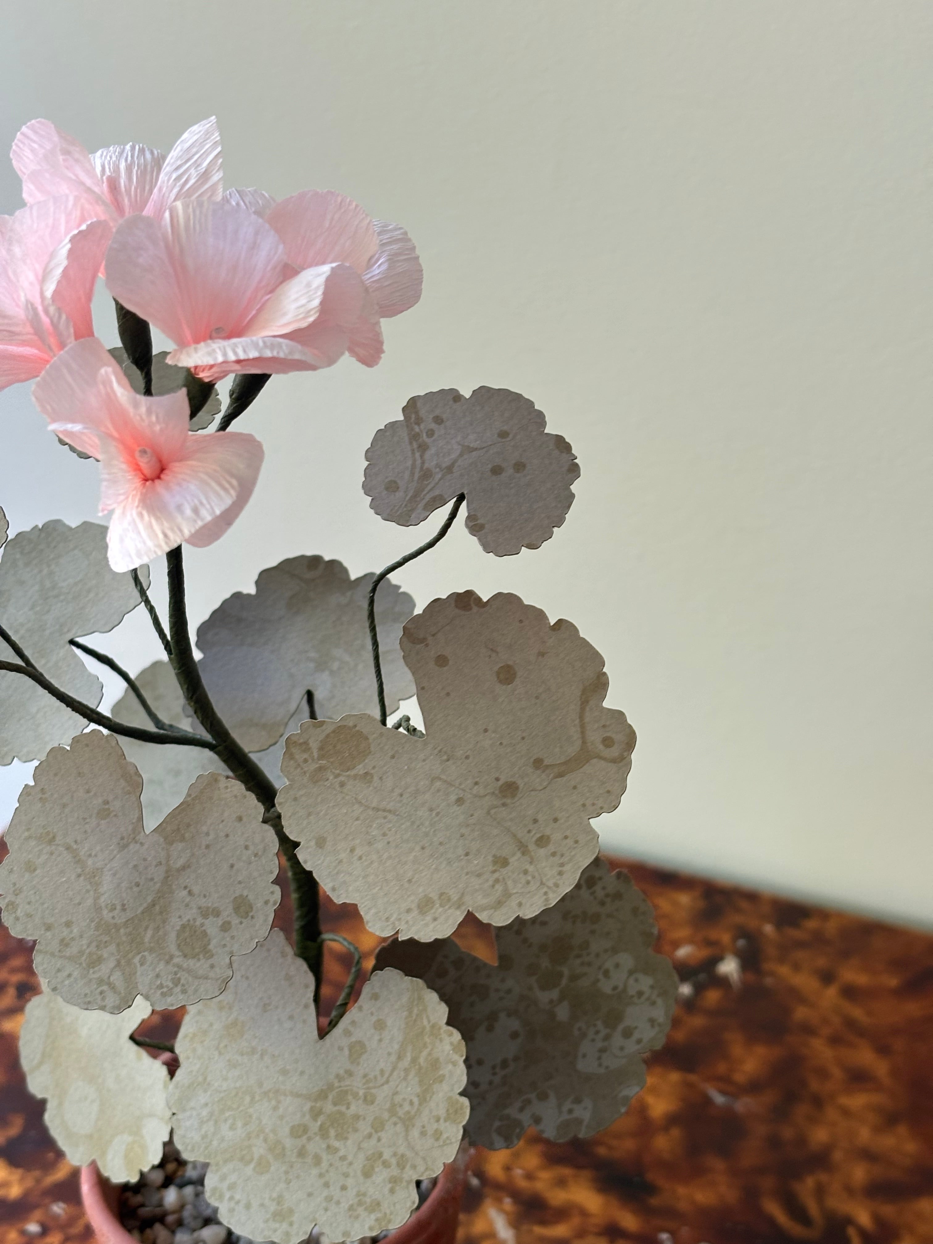 Paper Geranium
