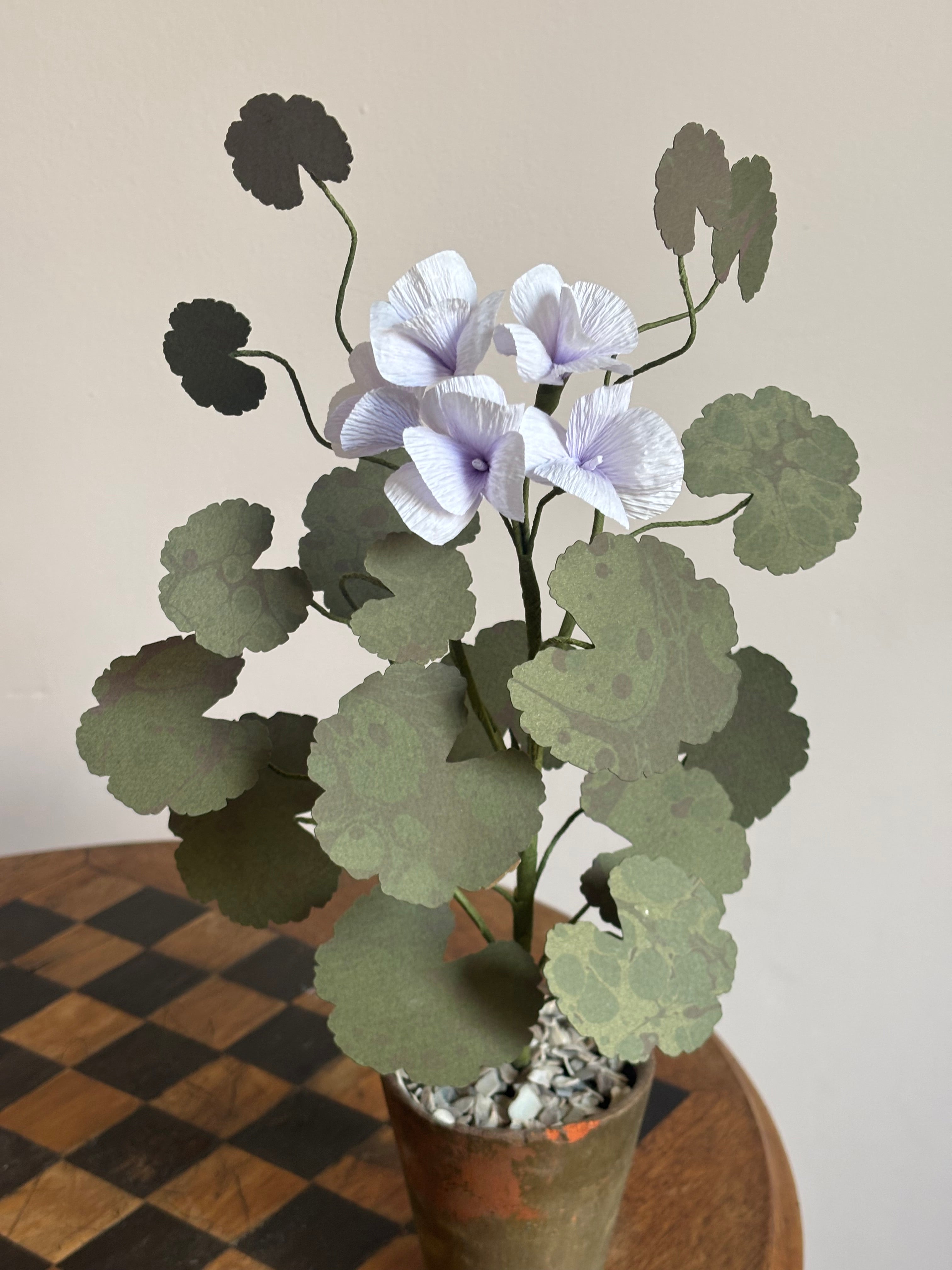 Paper Geranium