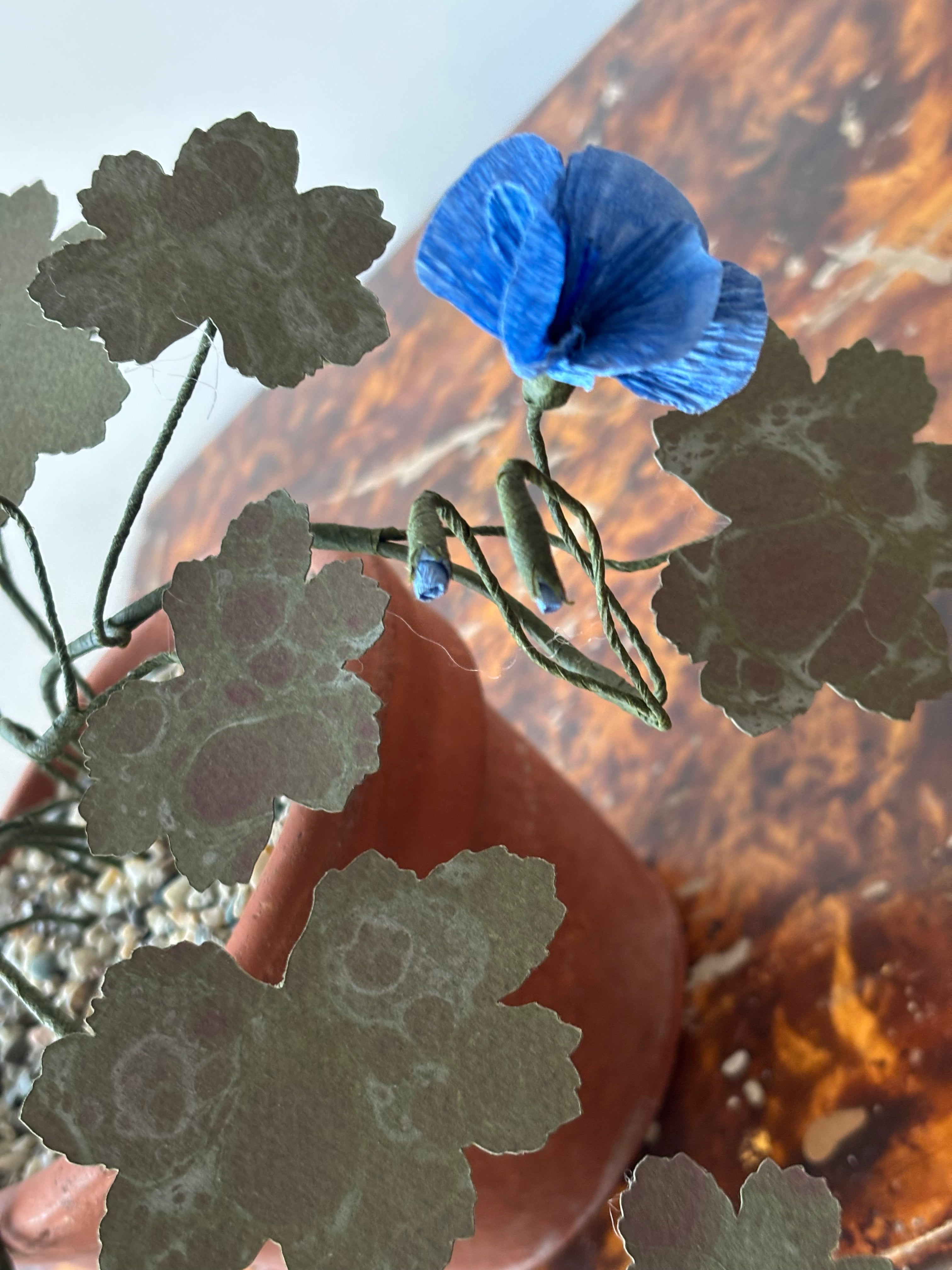 Paper hardy Geranium, trailing