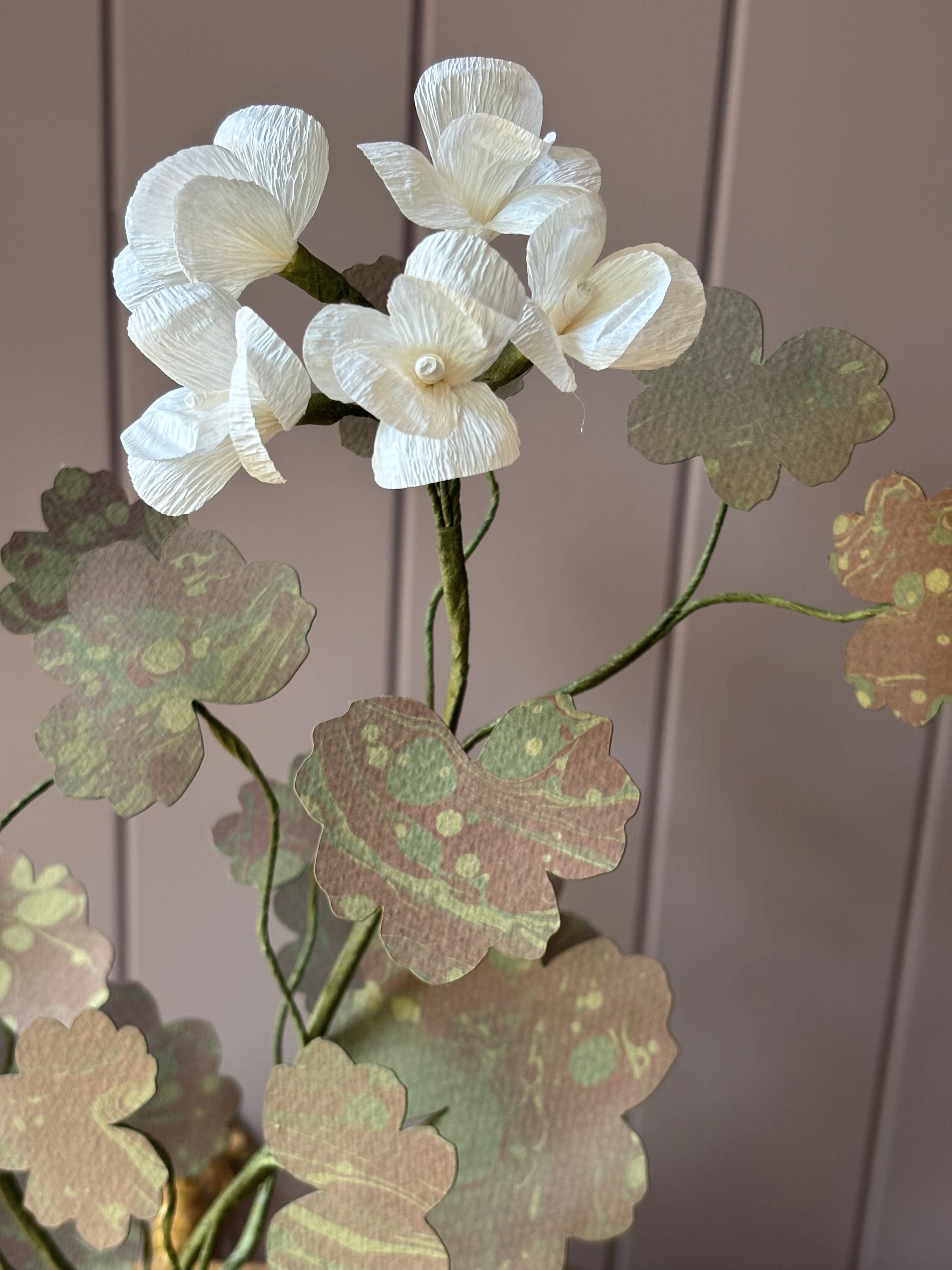 Paper geranium