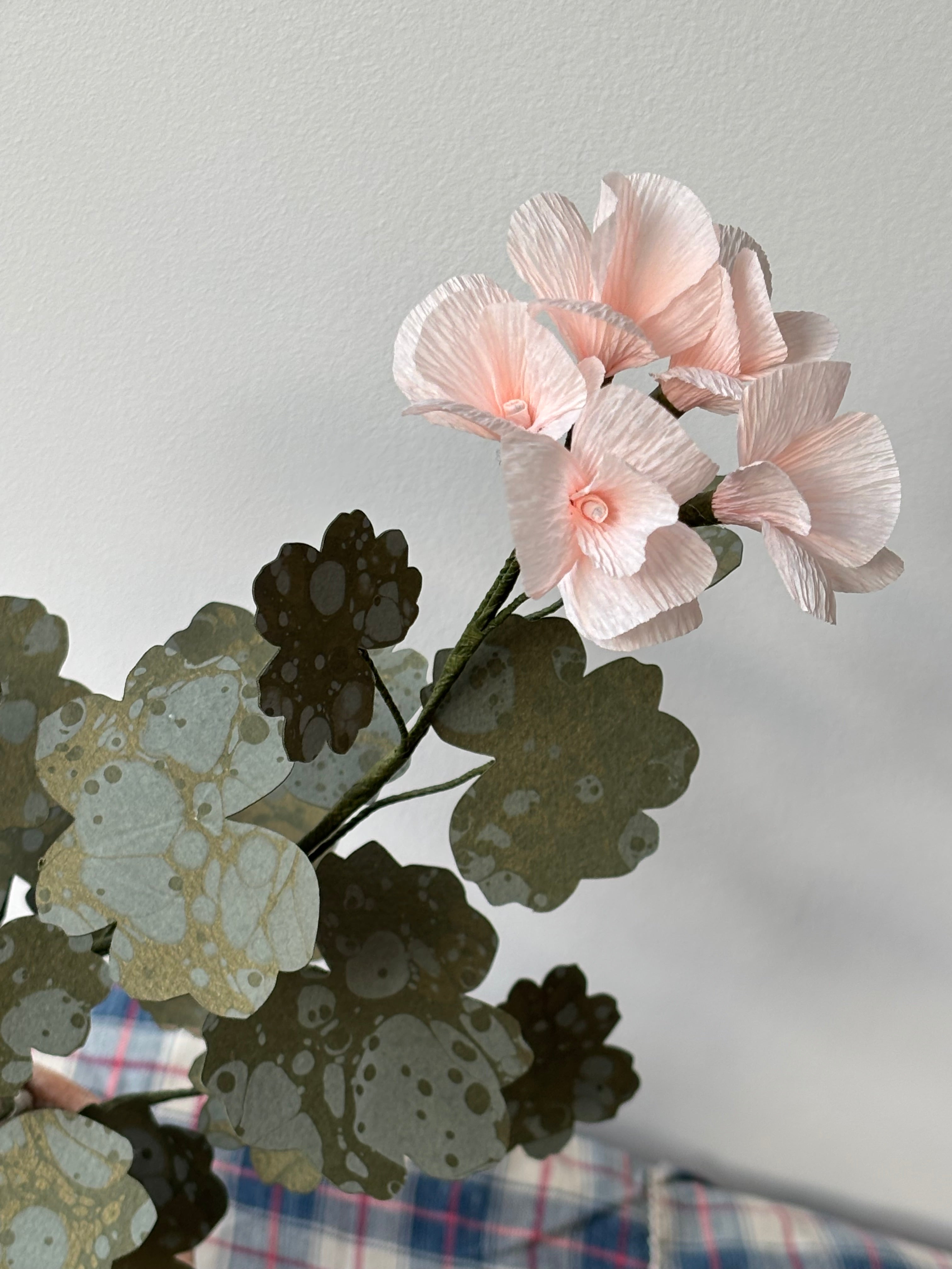 Paper Geranium