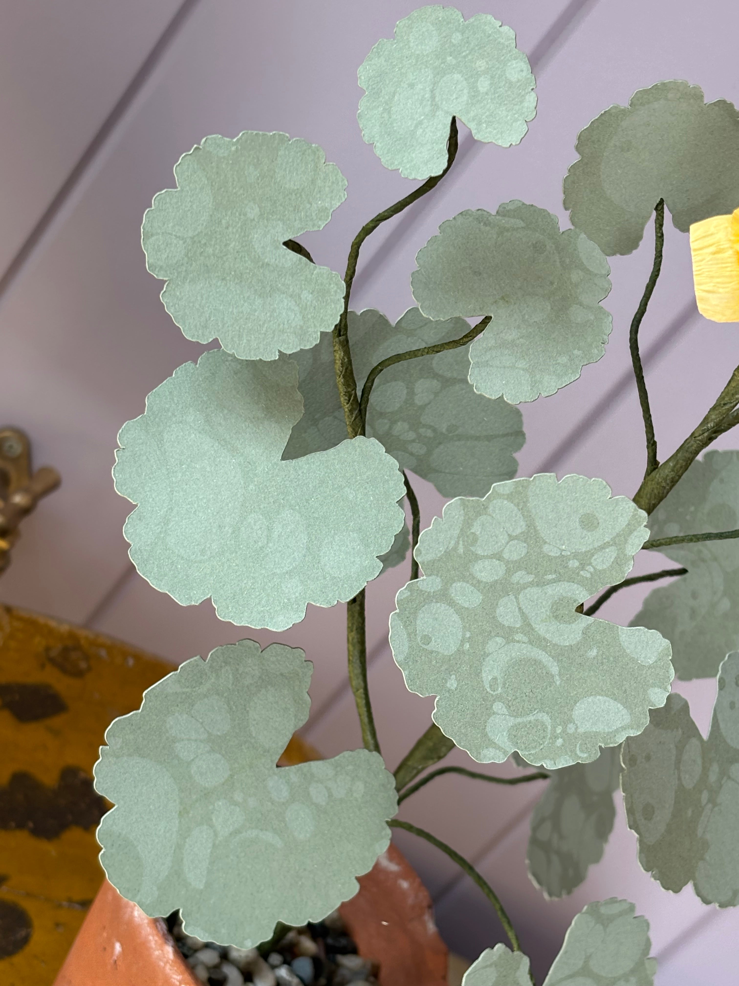Paper Geranium