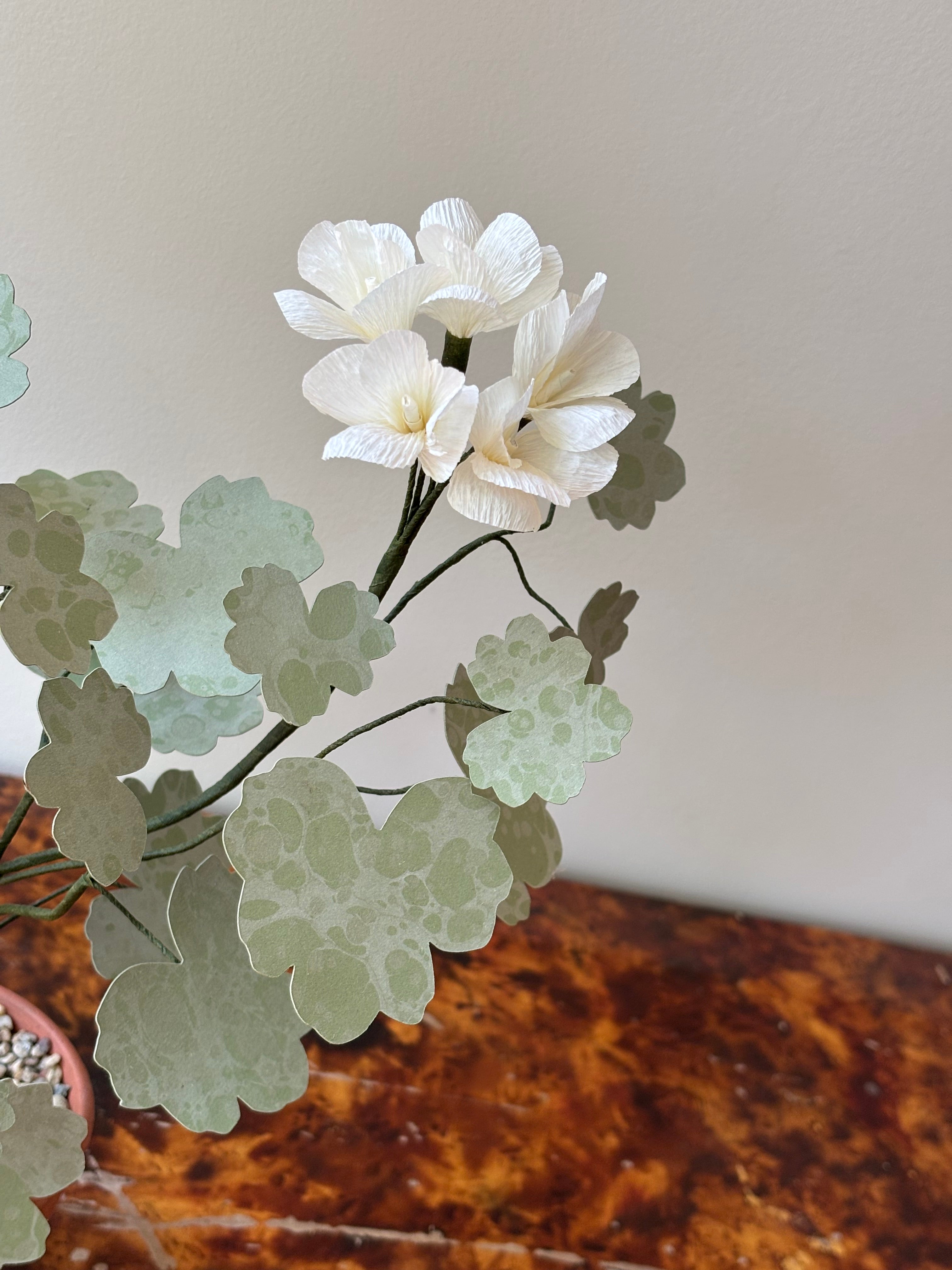 Paper Geranium