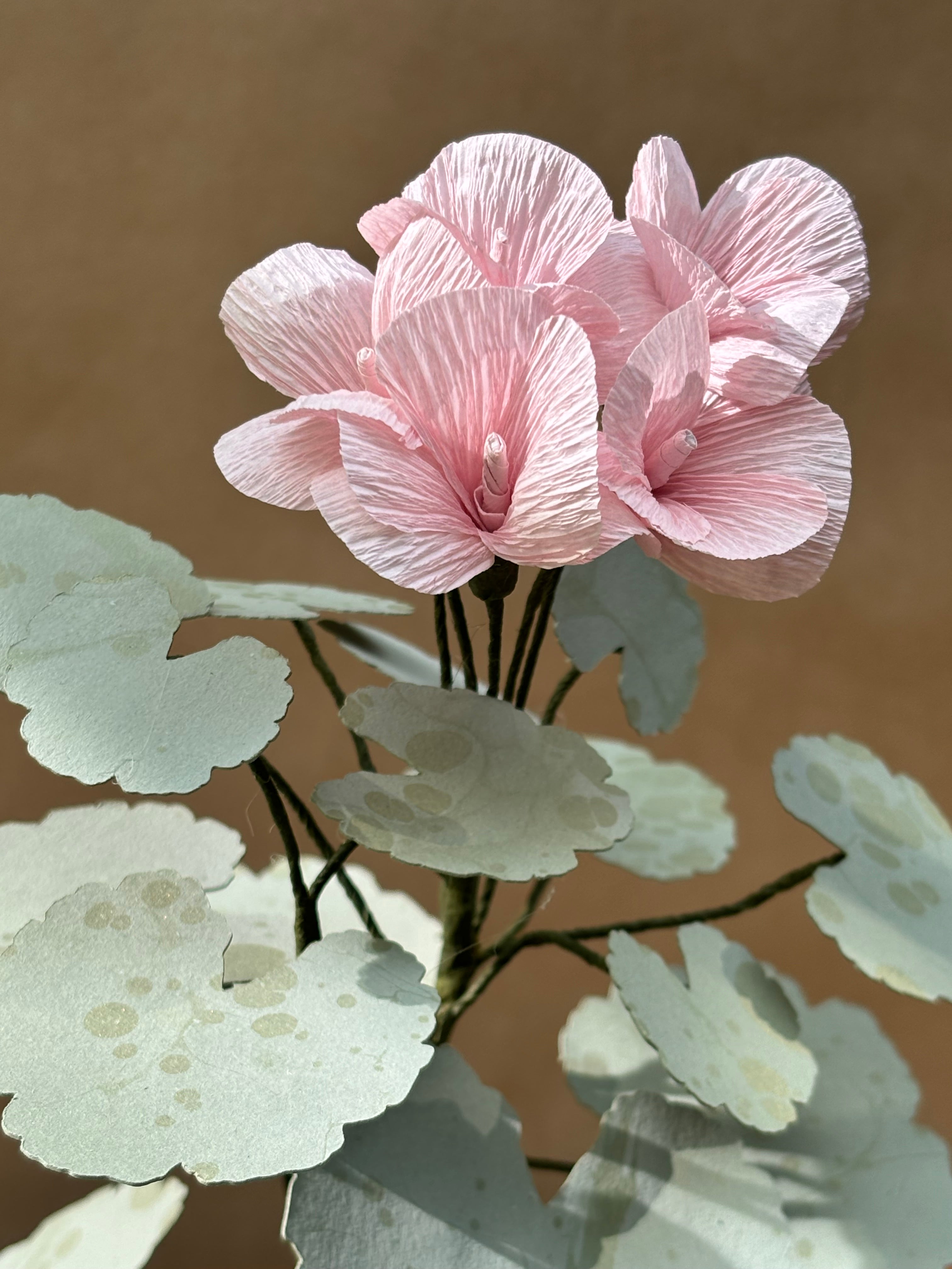 Paper Geranium