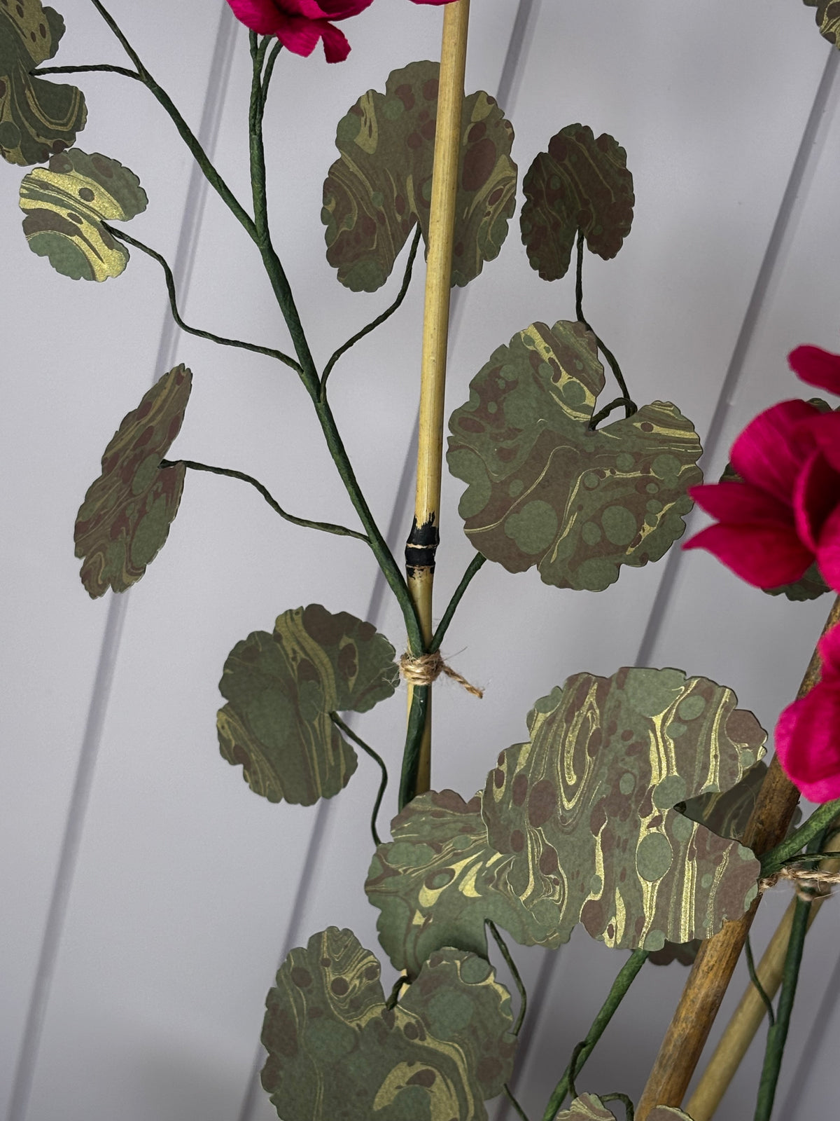 Paper geranium