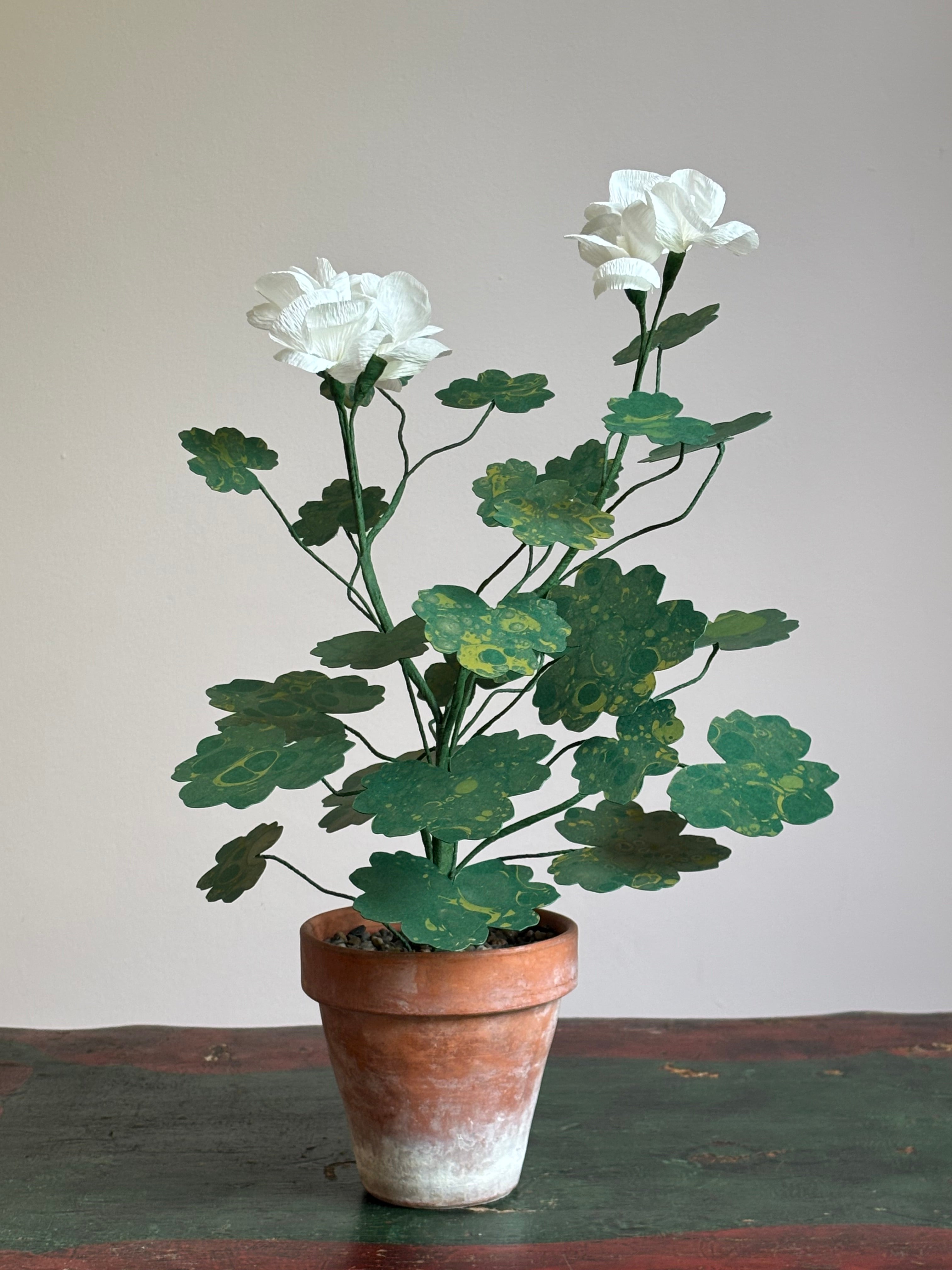 Paper Geranium