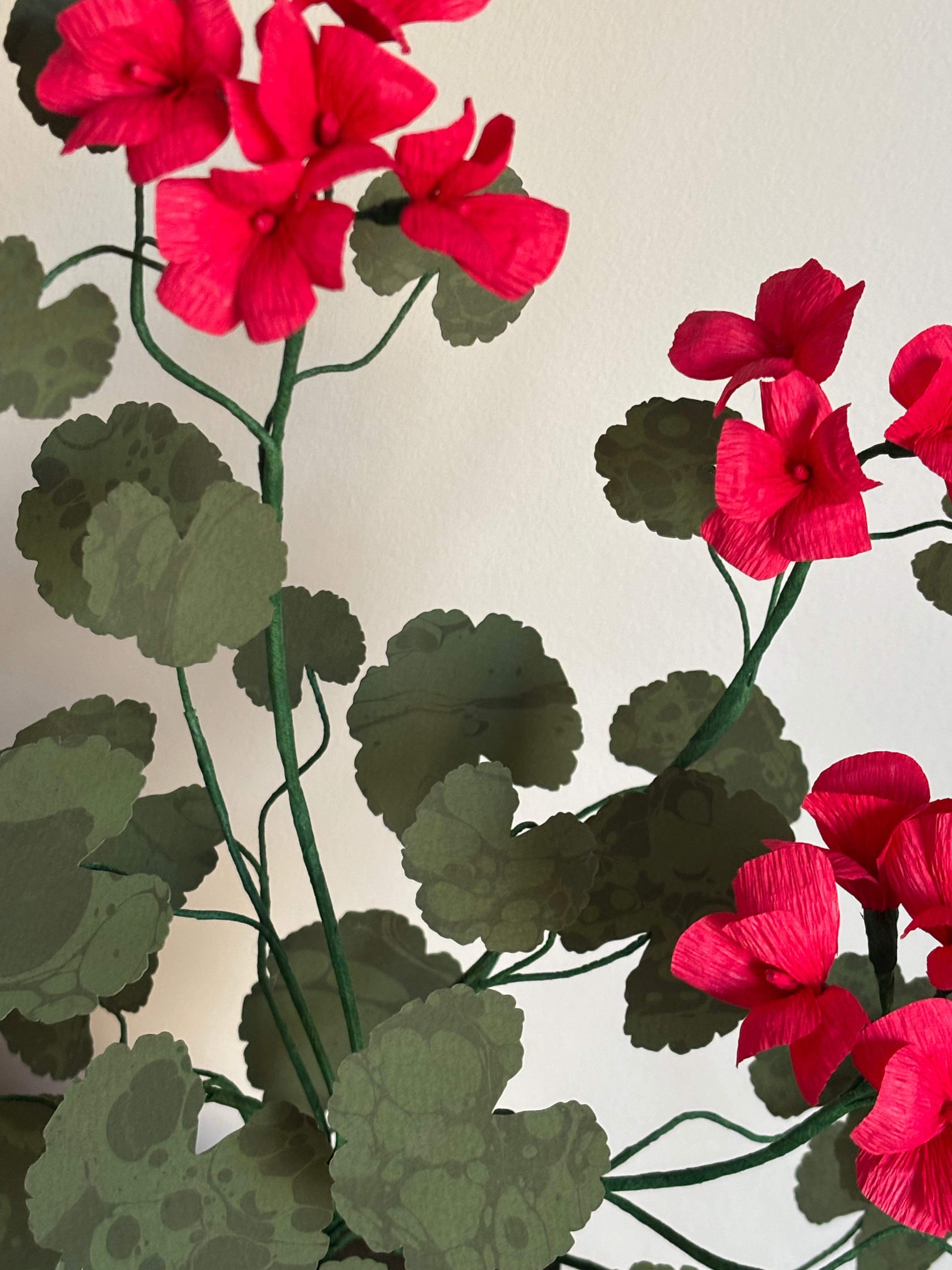 Paper Geranium * no international shipping*