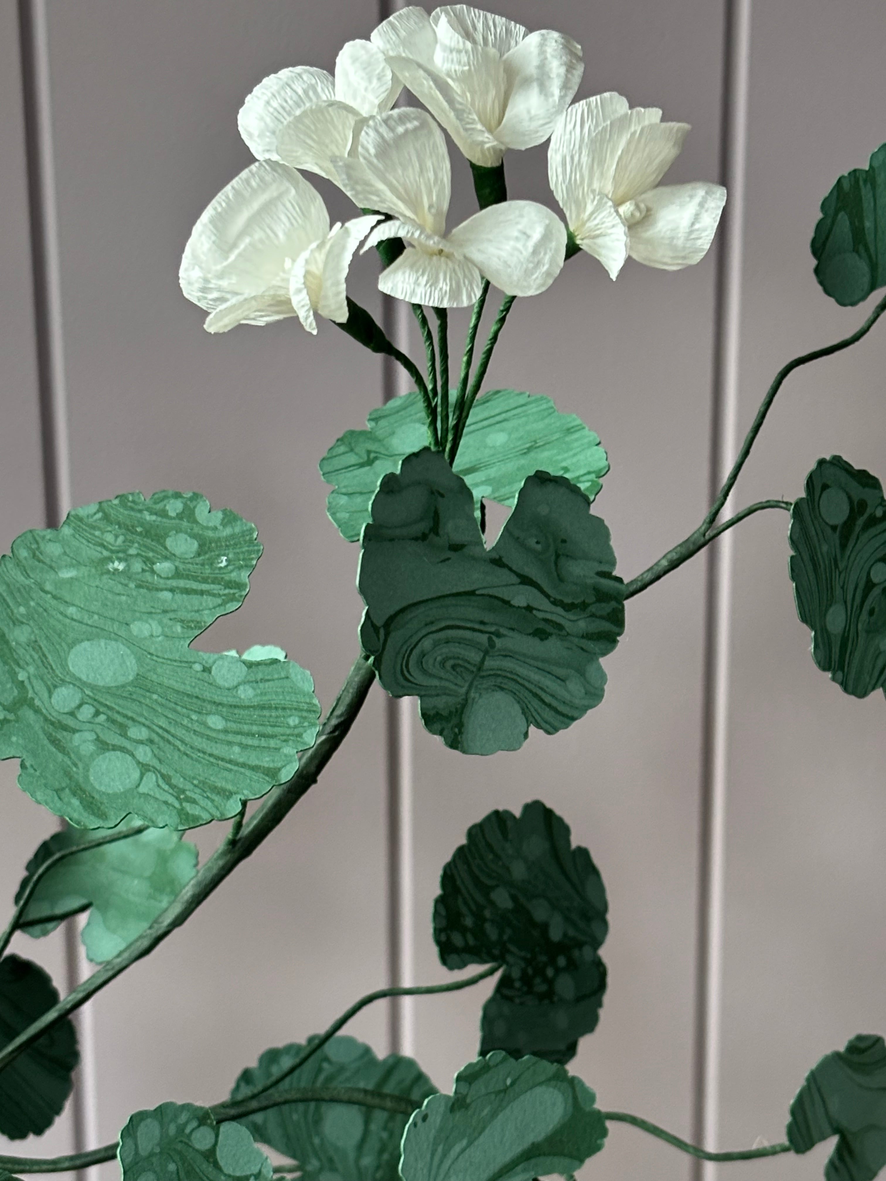 Paper Geranium