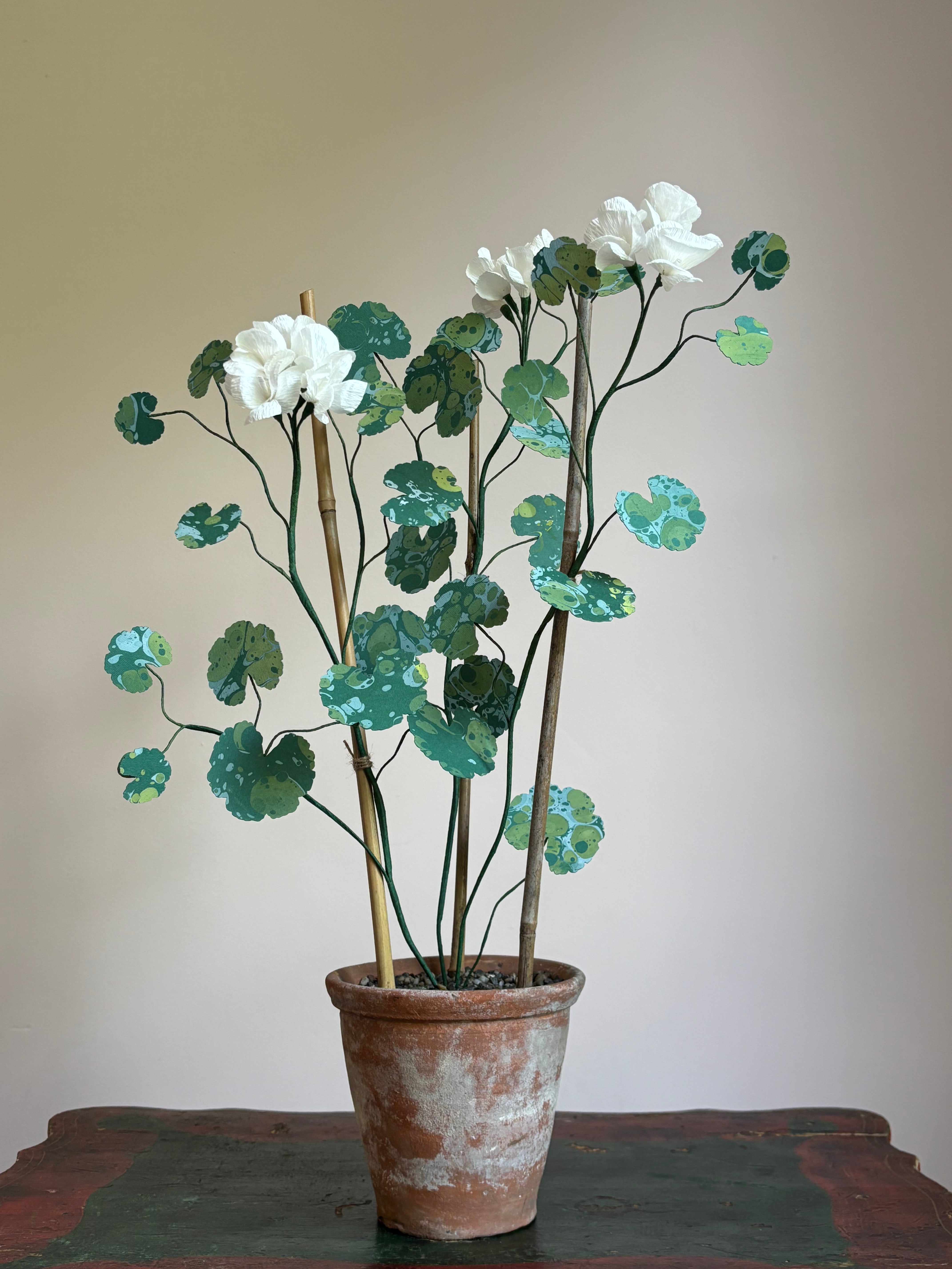 Paper Geranium