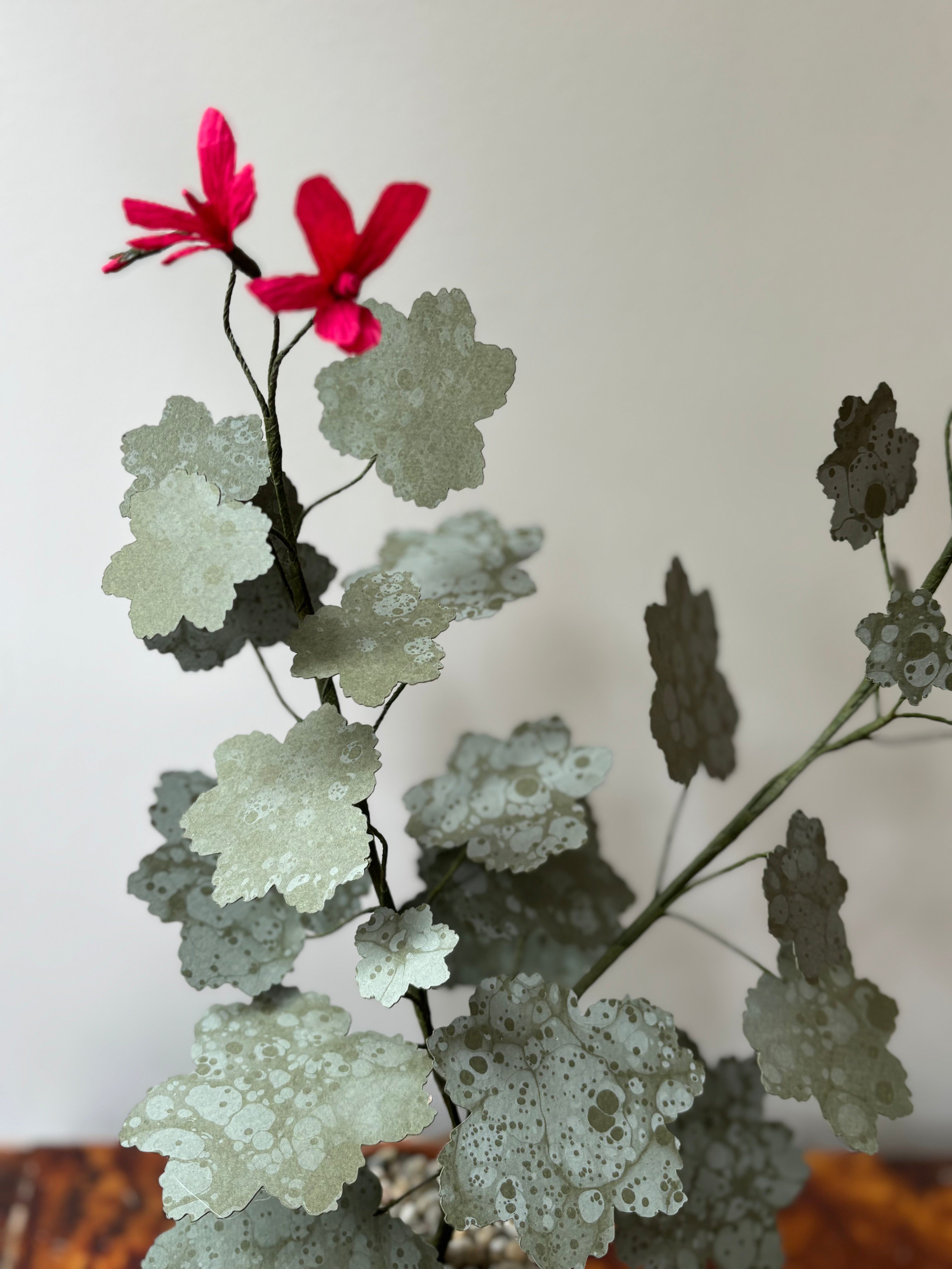 Paper Geranium