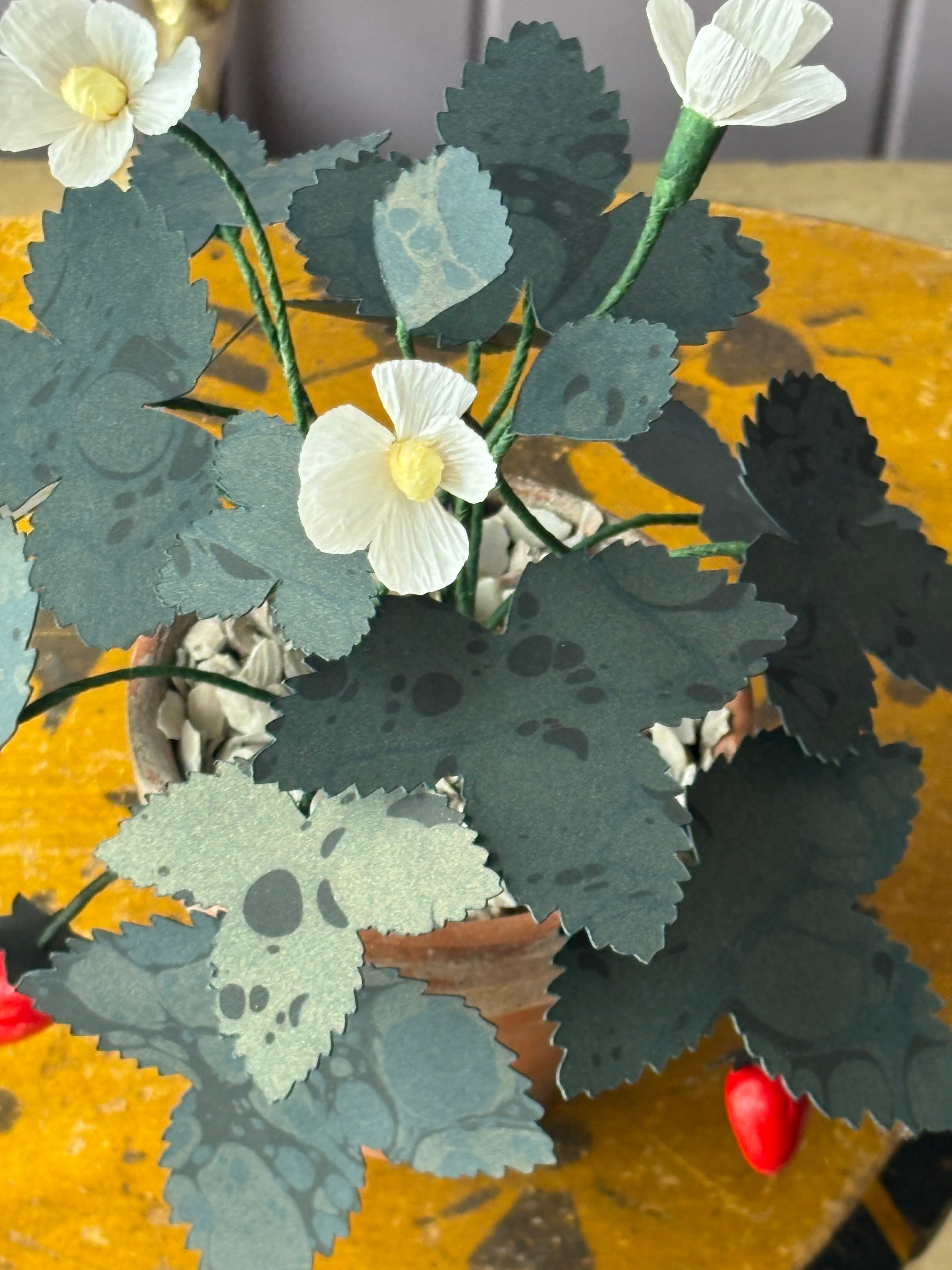 Paper wild strawberry