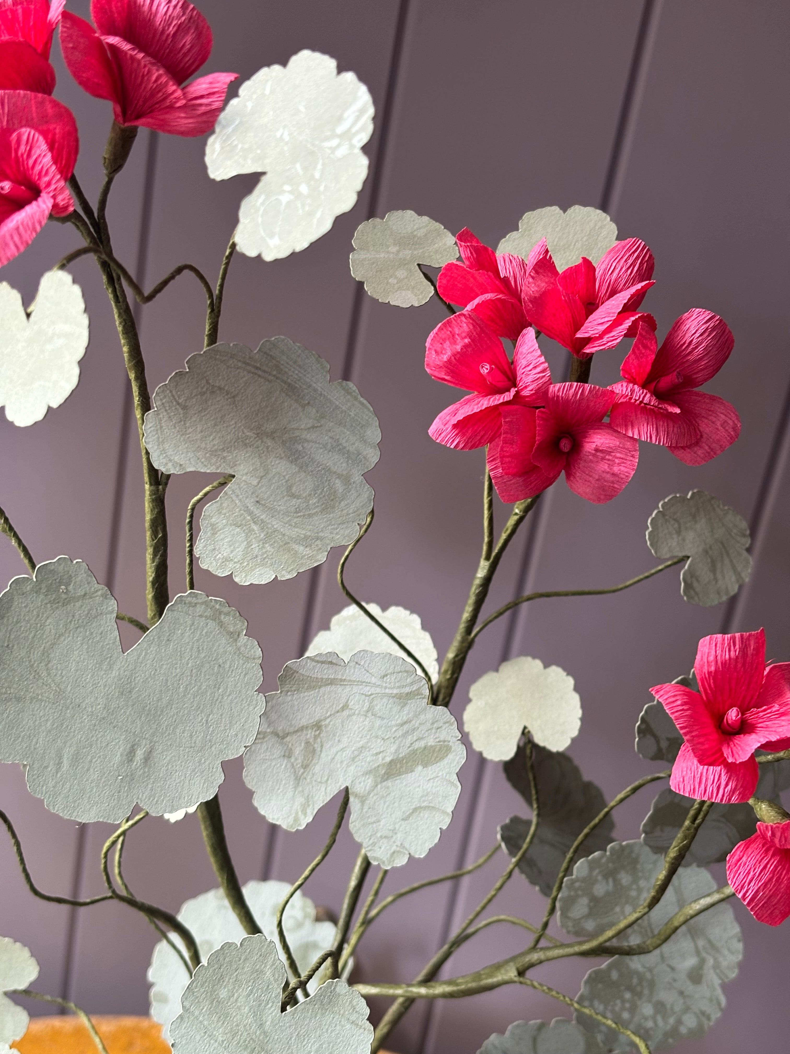 Paper geranium