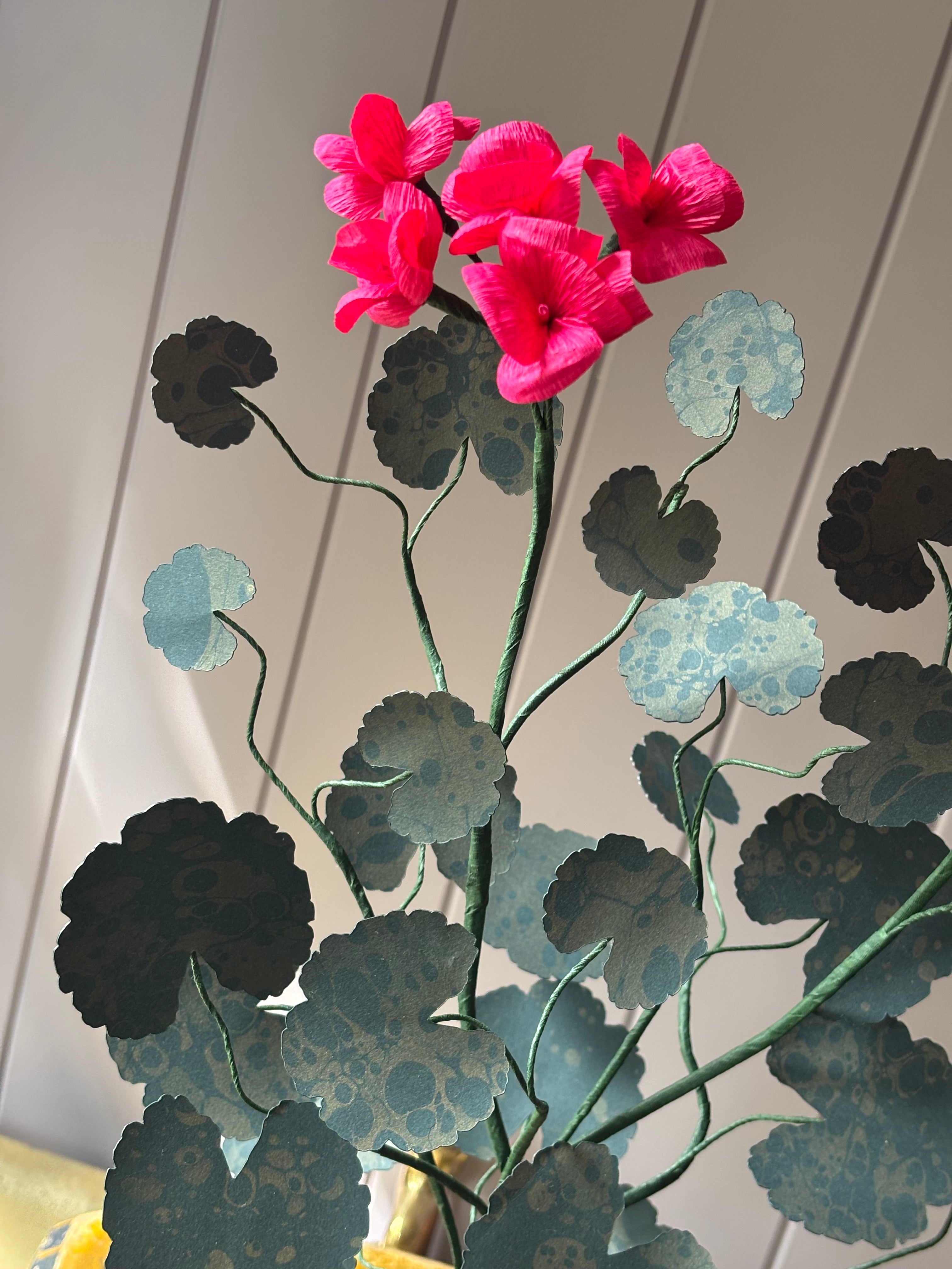 Paper geranium