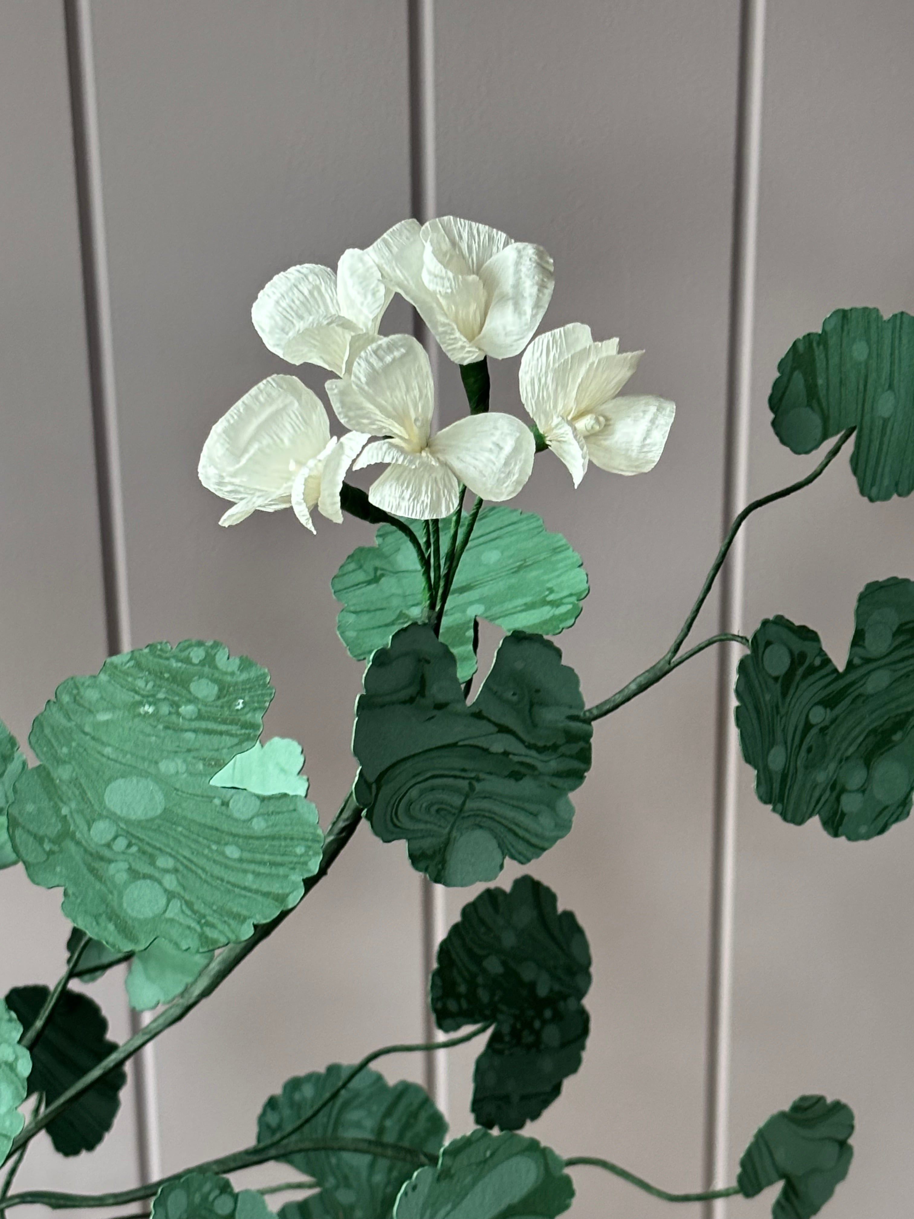 Paper Geranium
