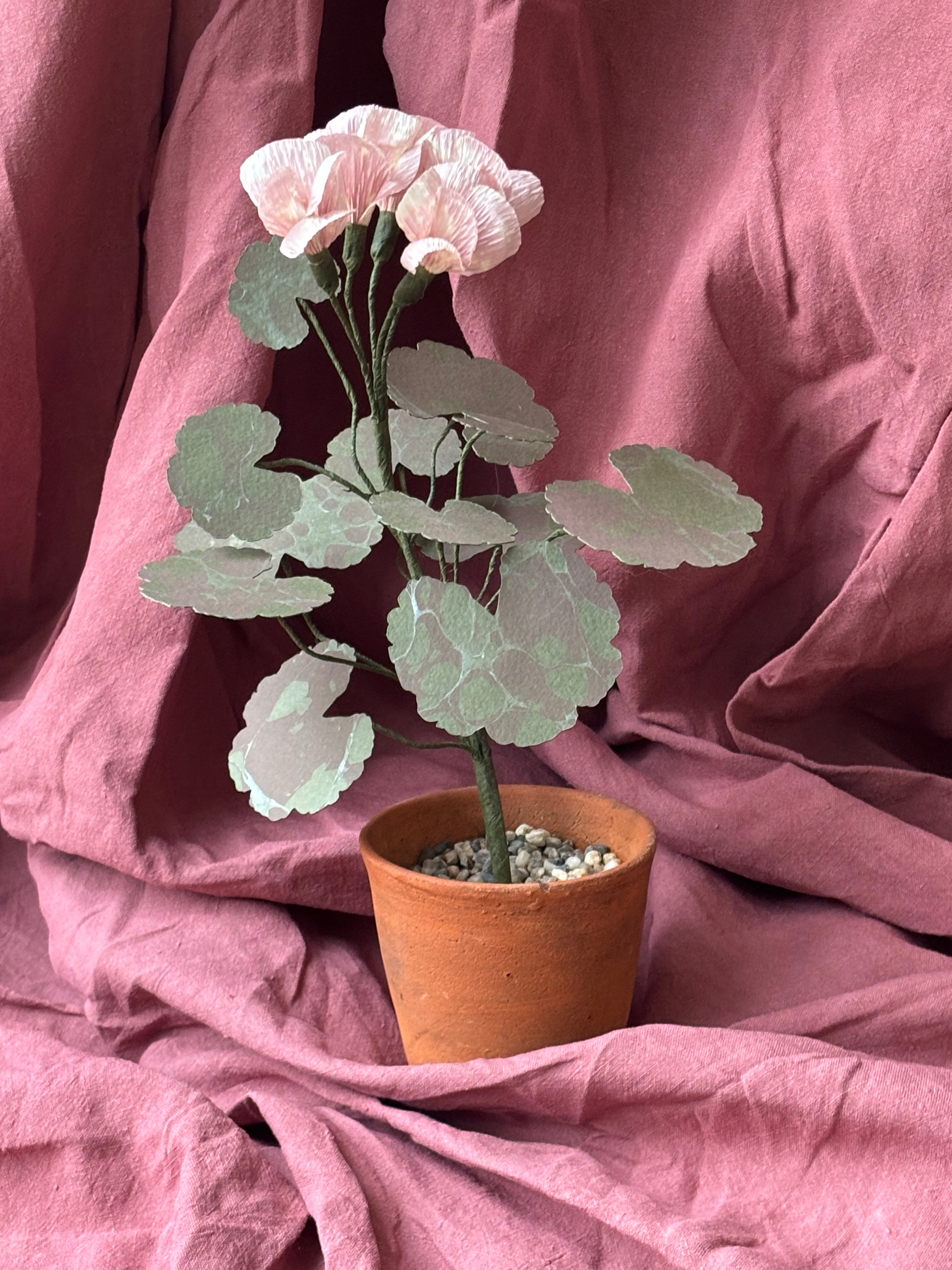 Paper Geranium