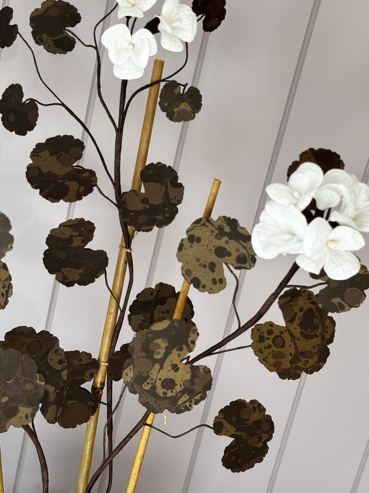 Paper geranium