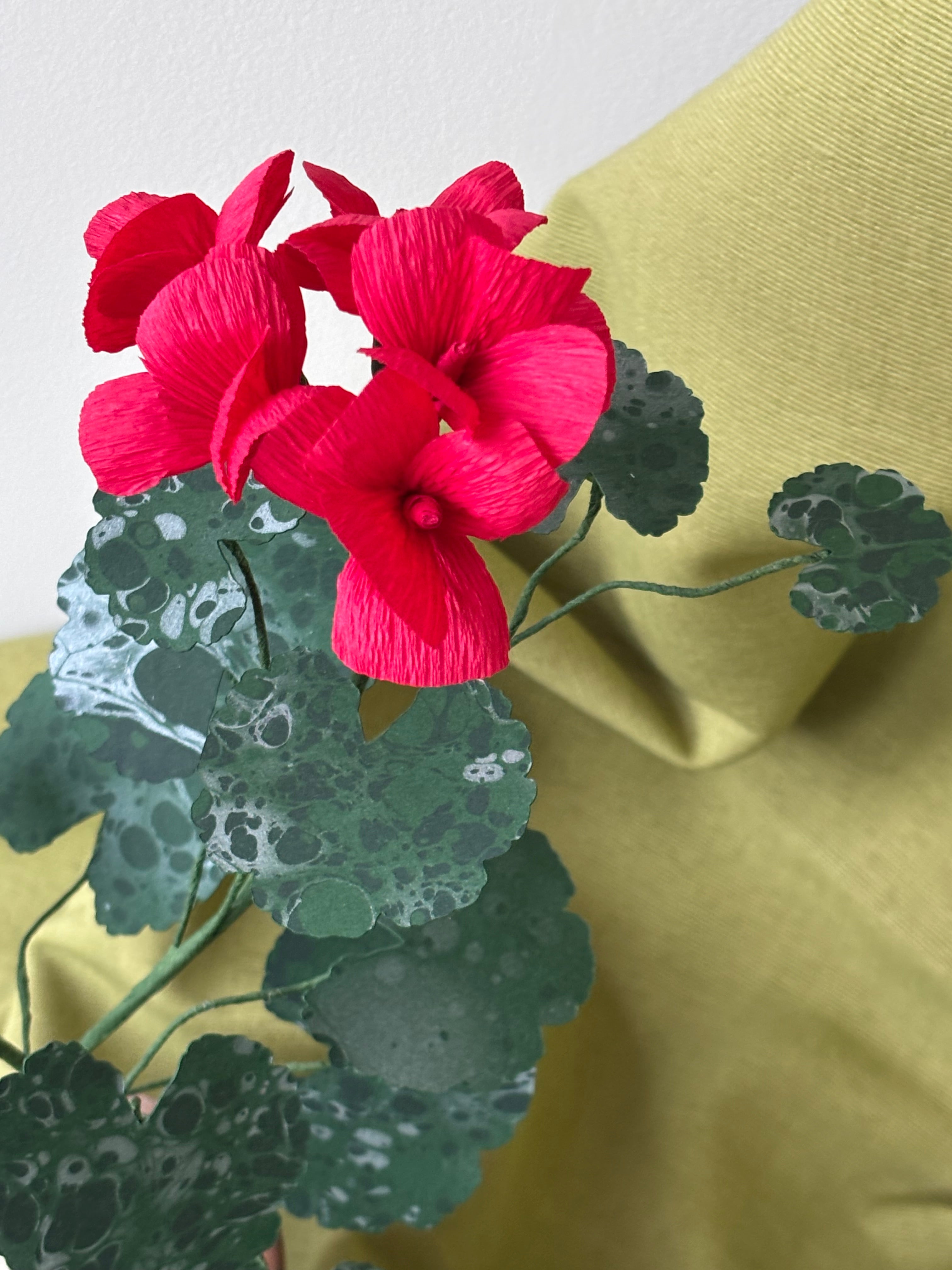 Paper Geranium