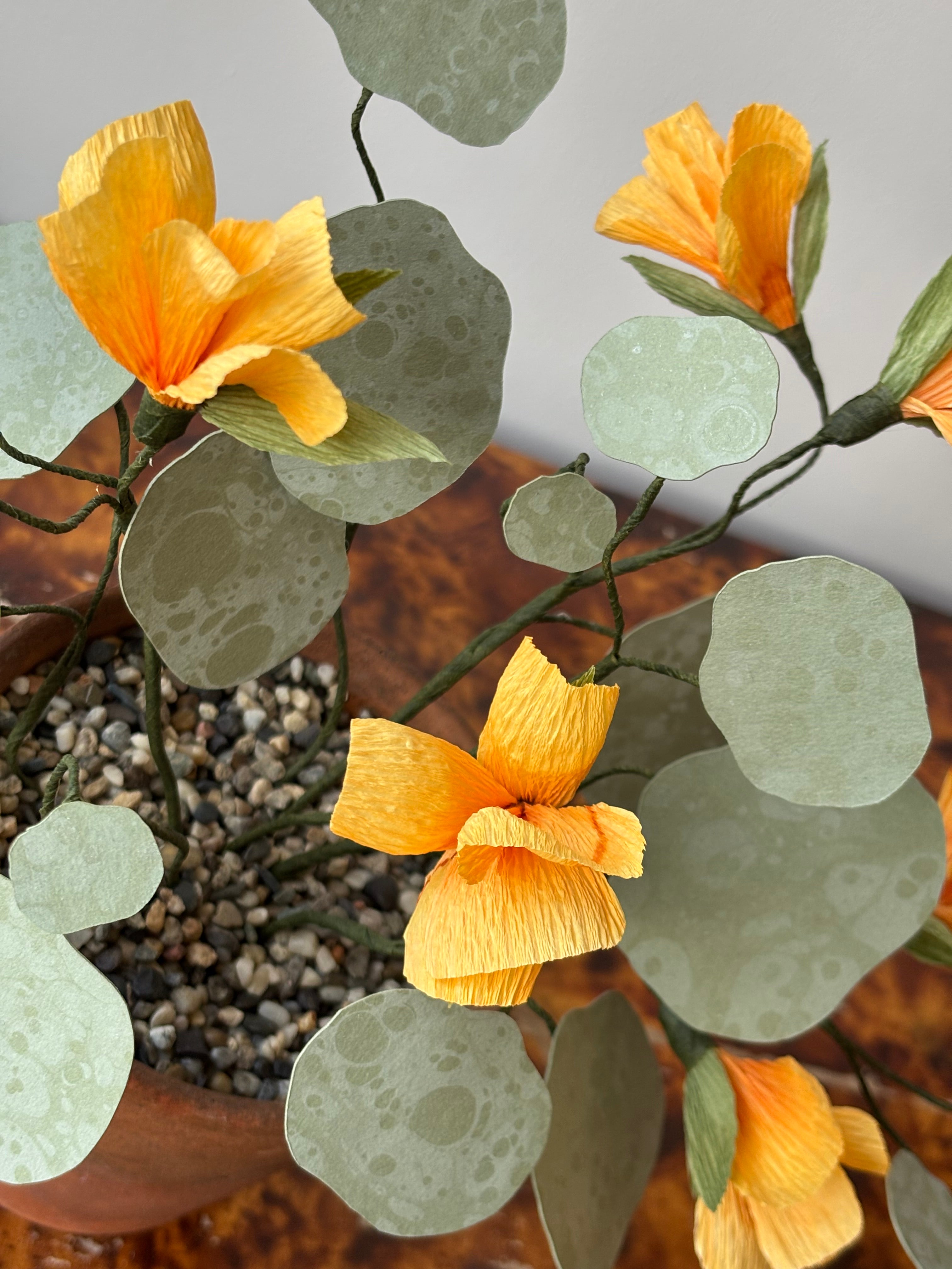 Paper Nasturtium