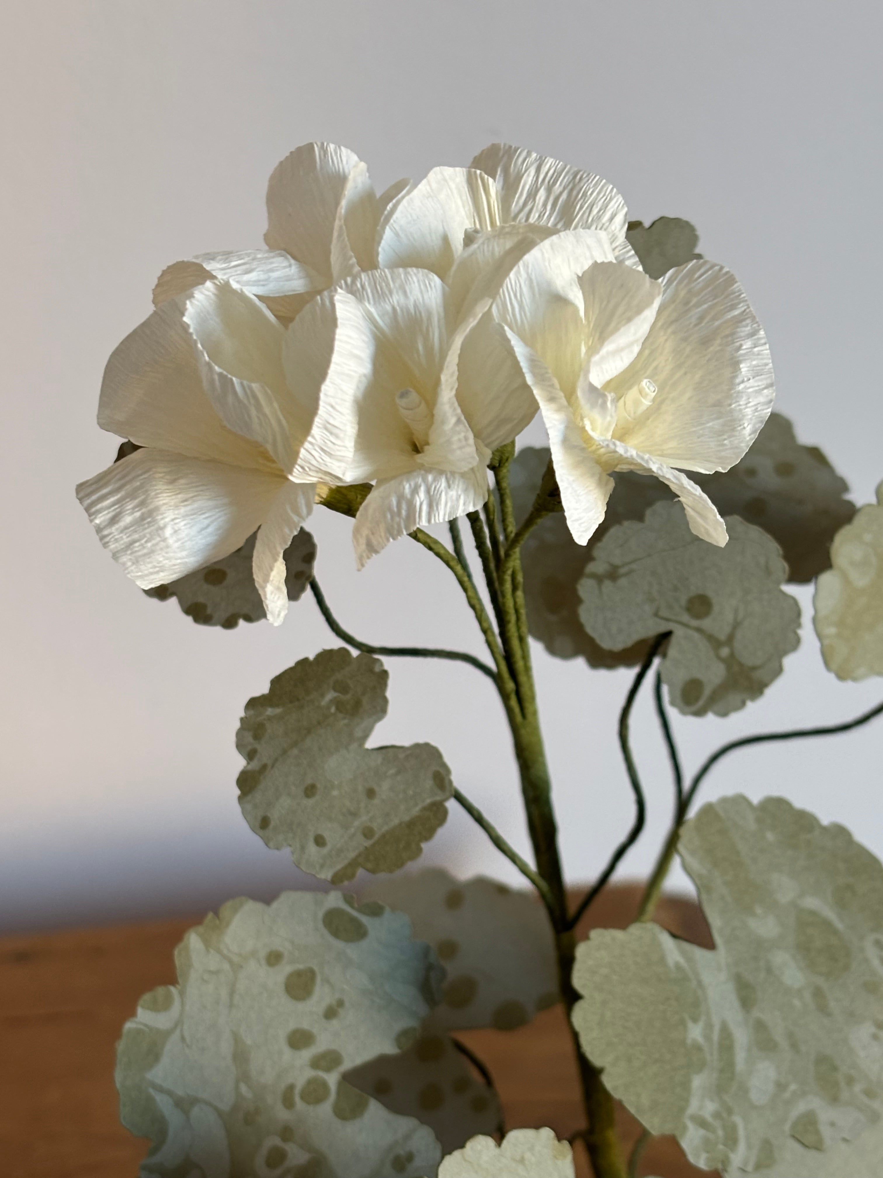 Paper Geranium