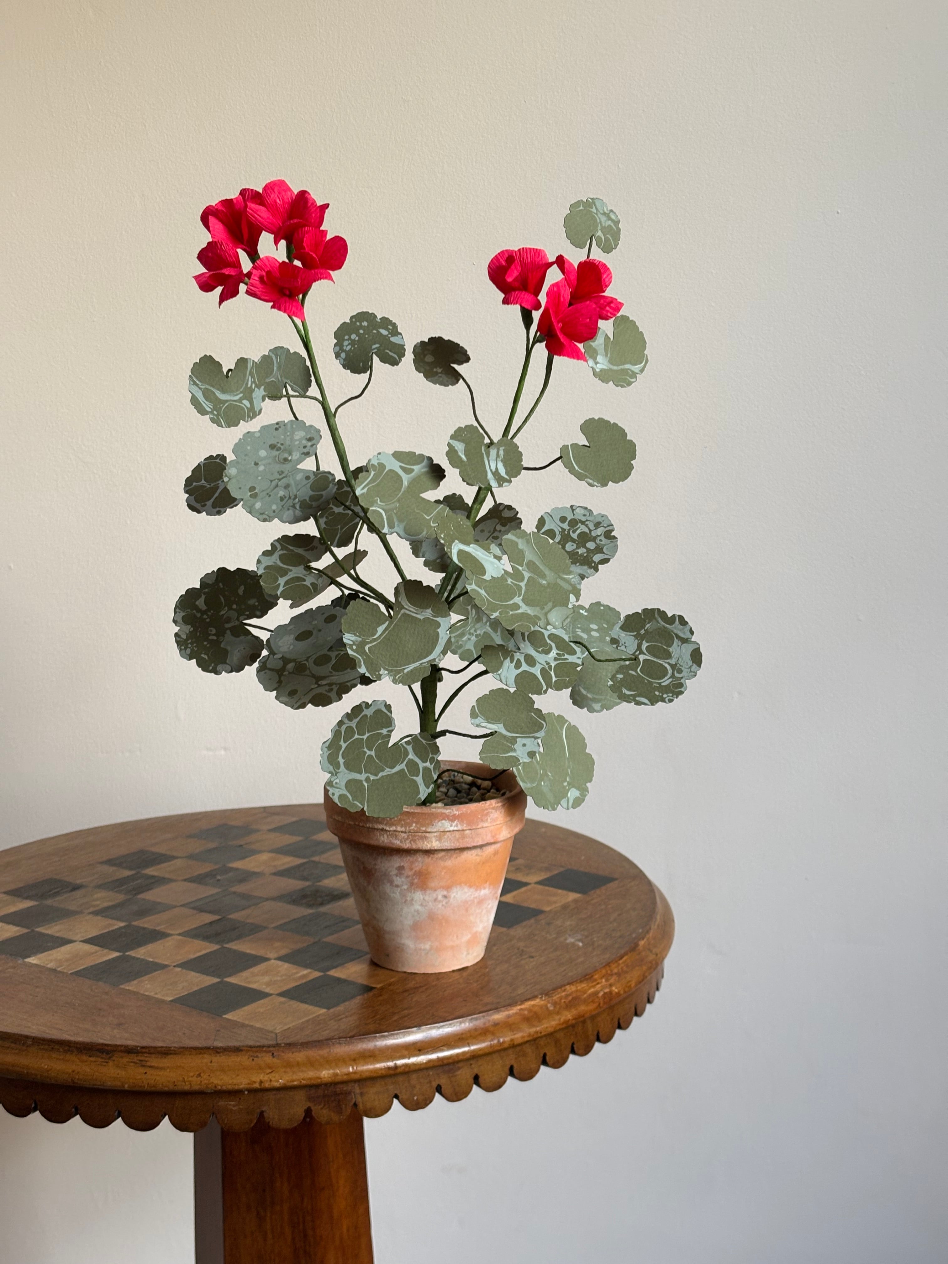 Paper Geranium