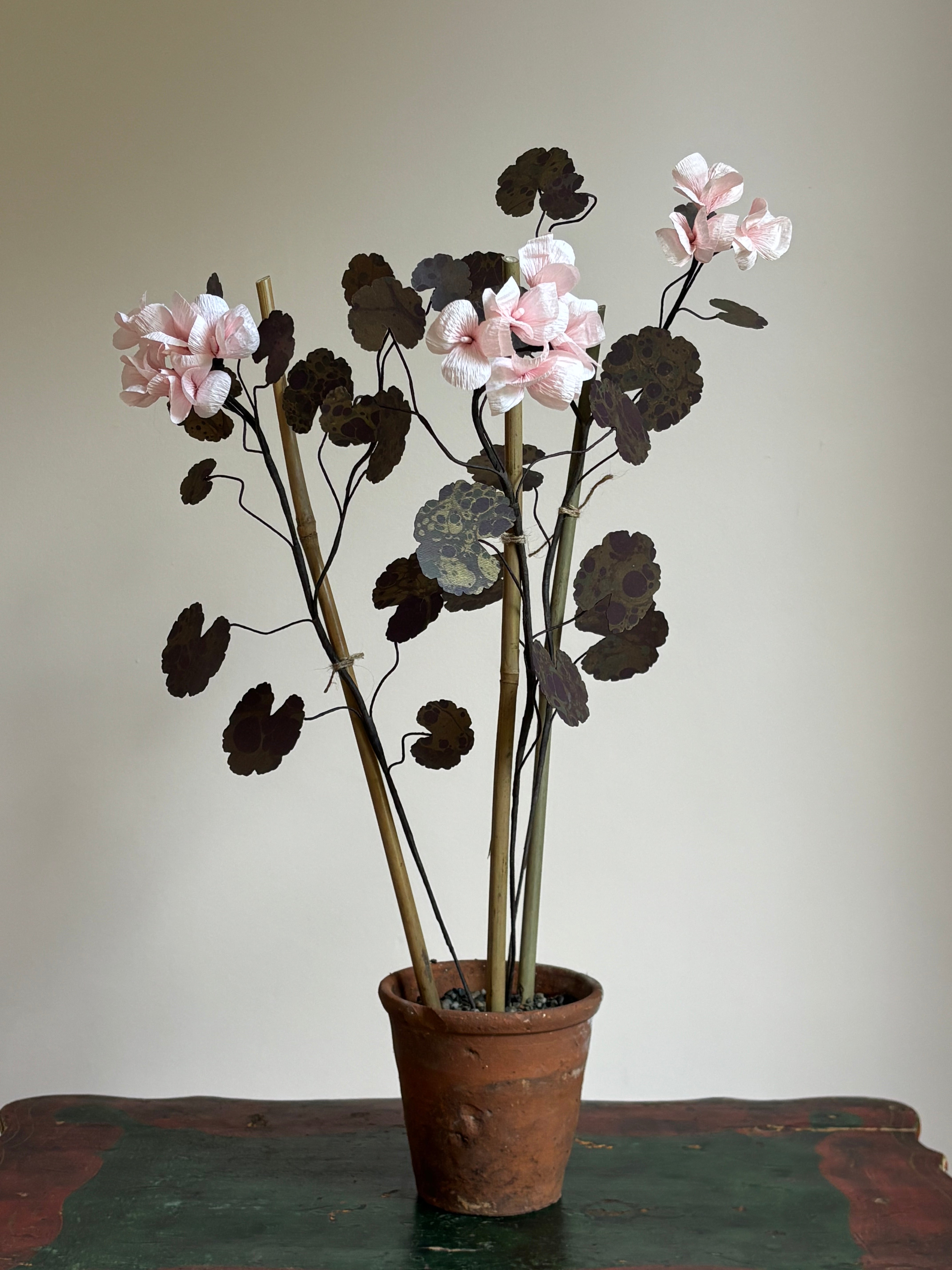 Paper Geranium