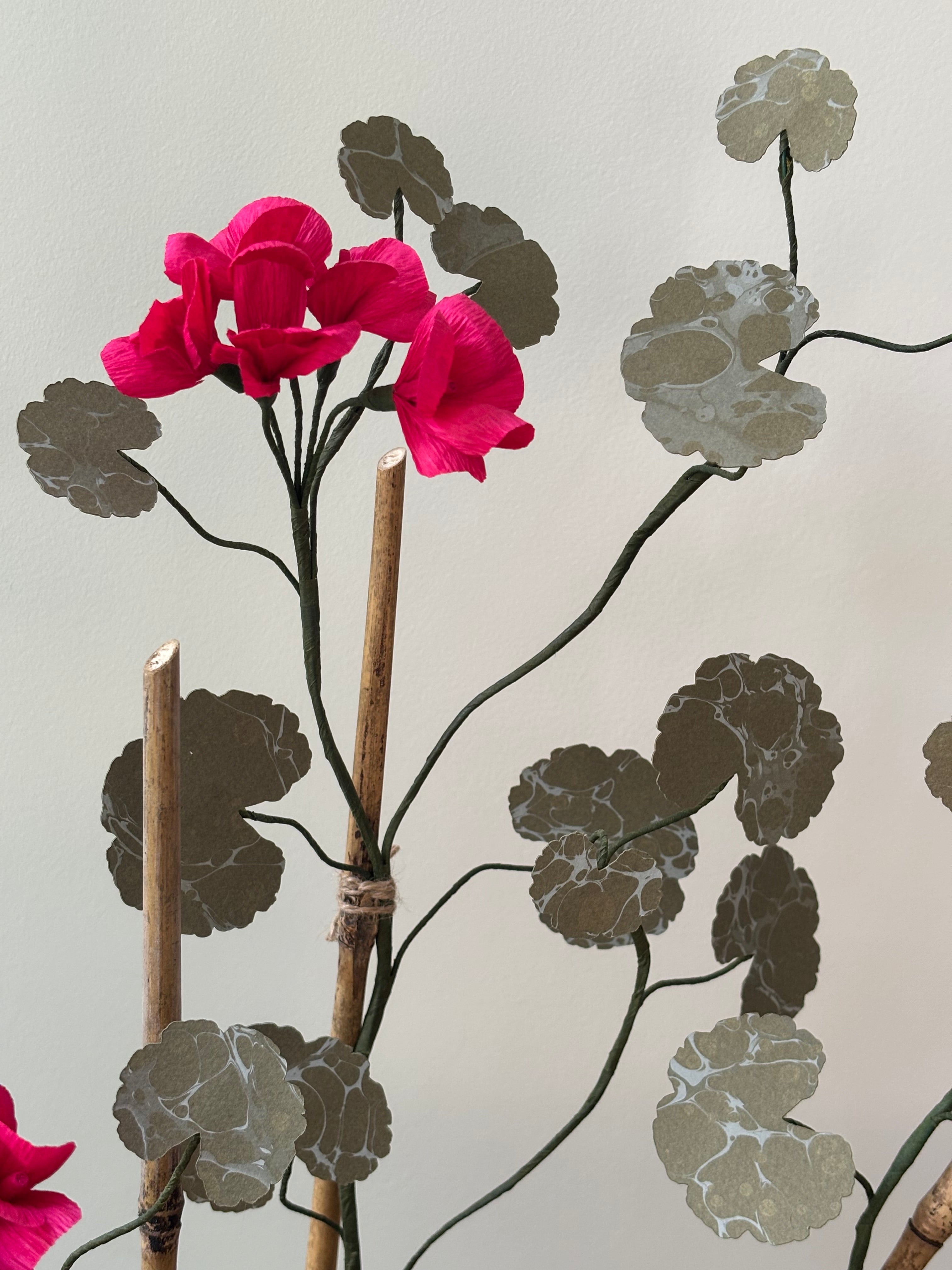 Paper Geranium