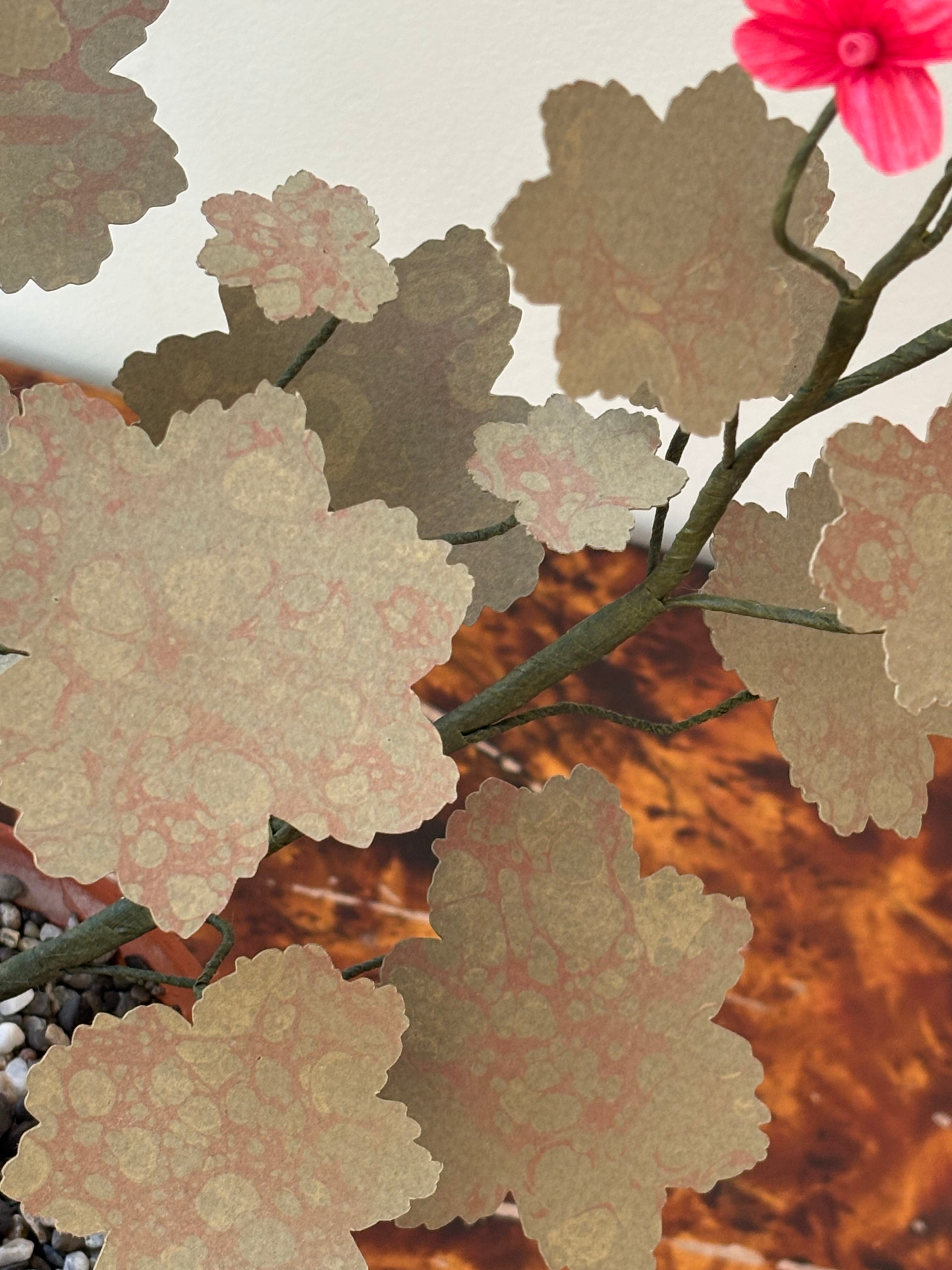 Paper Geranium