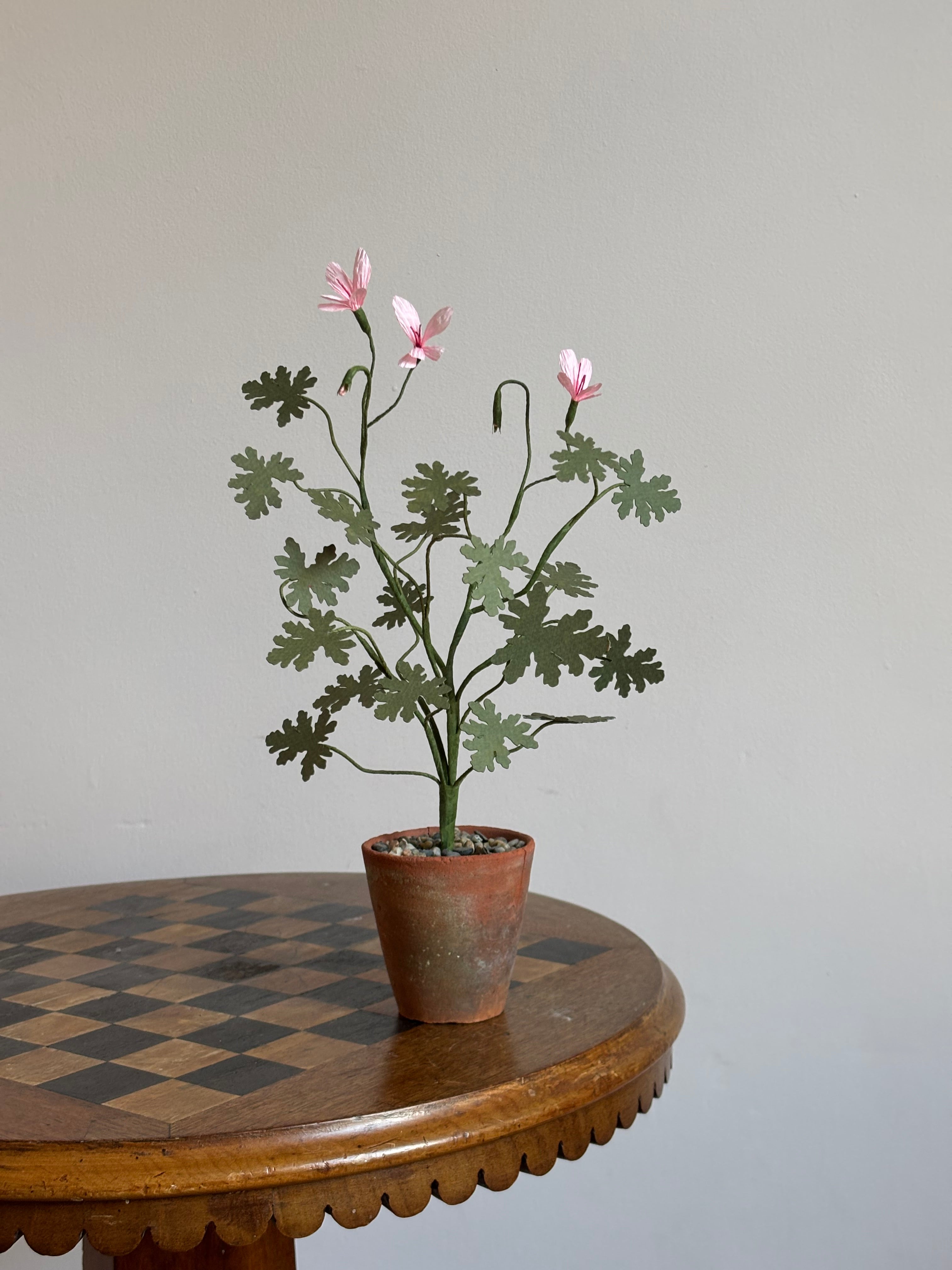 Paper Pelargonium, inspired by Pelargonium radens