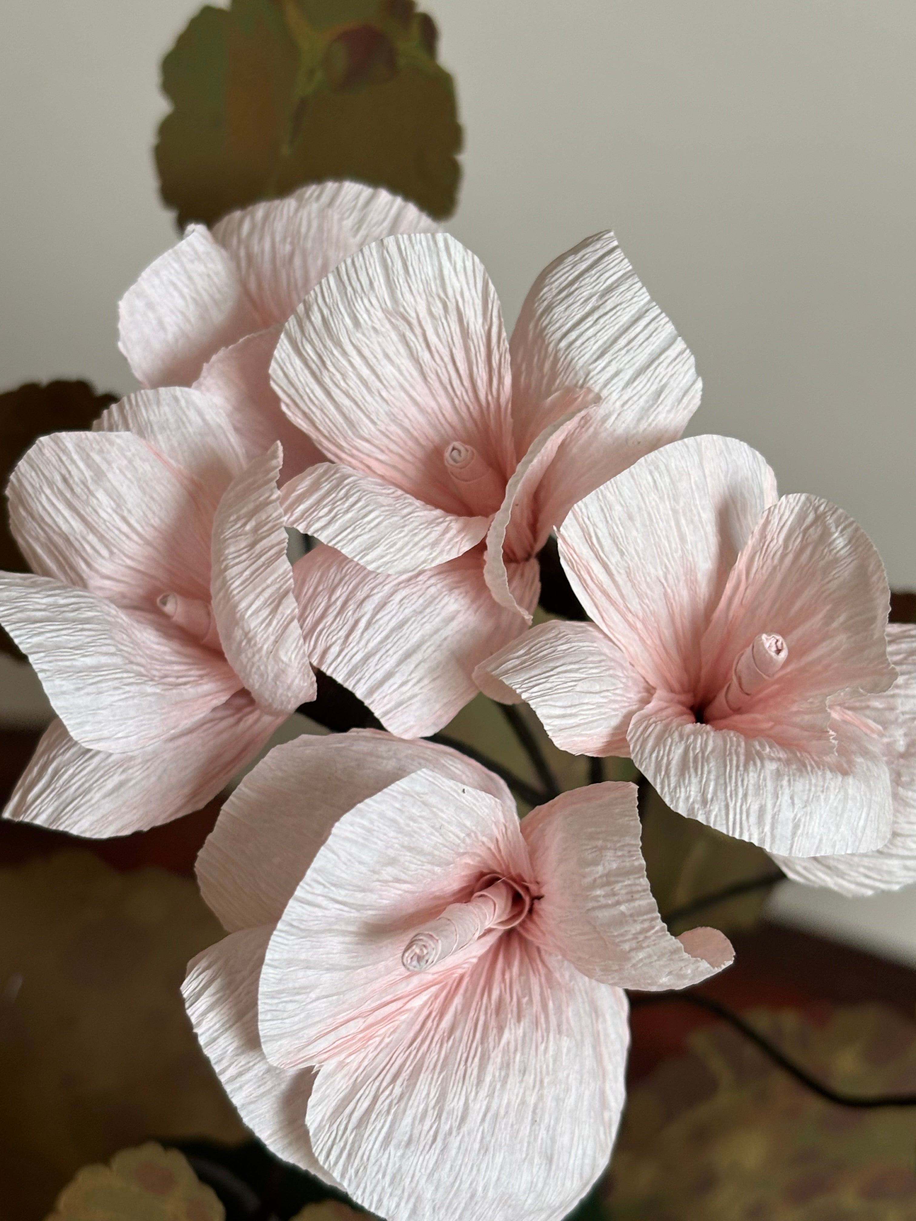 Paper Geranium