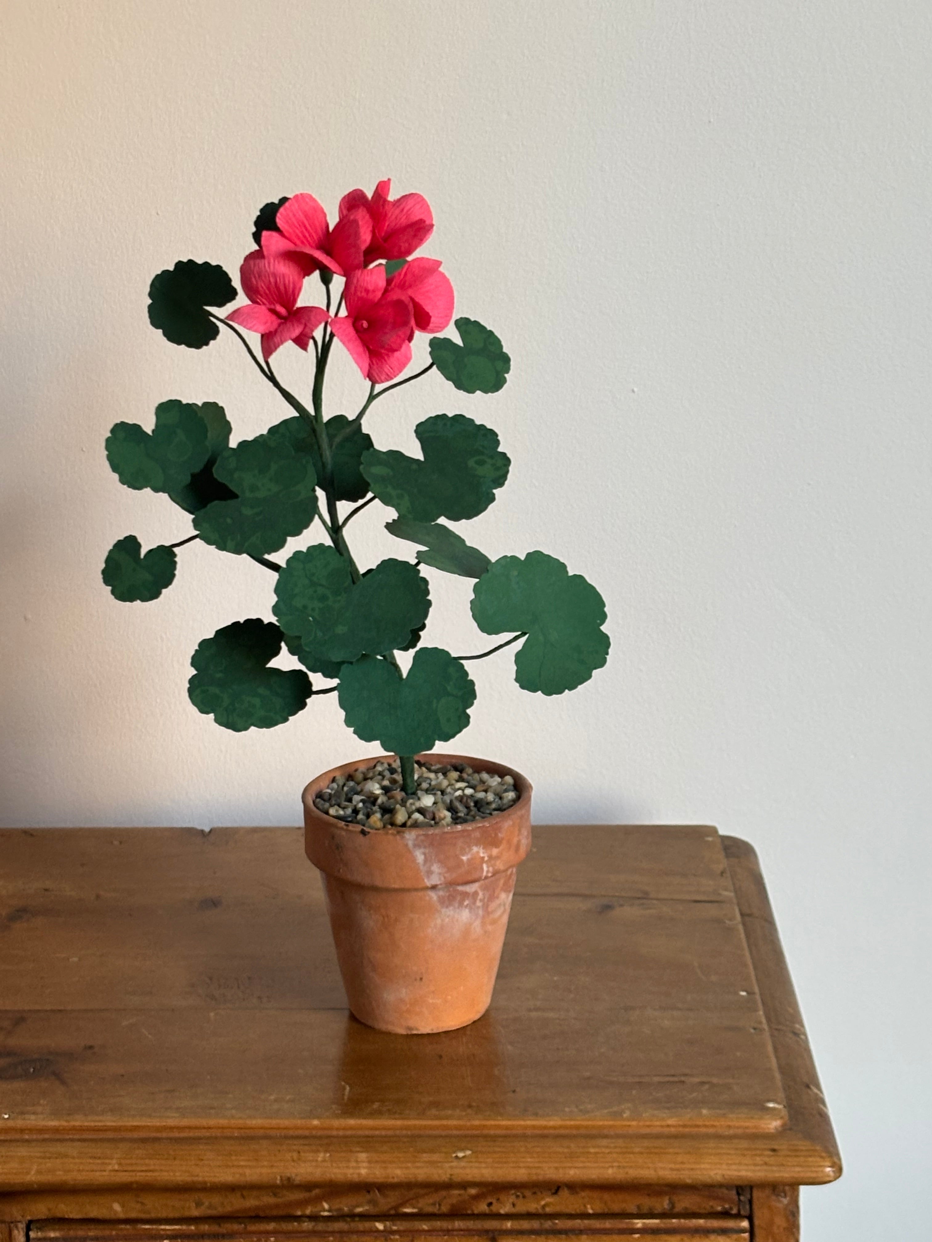 Paper Geranium