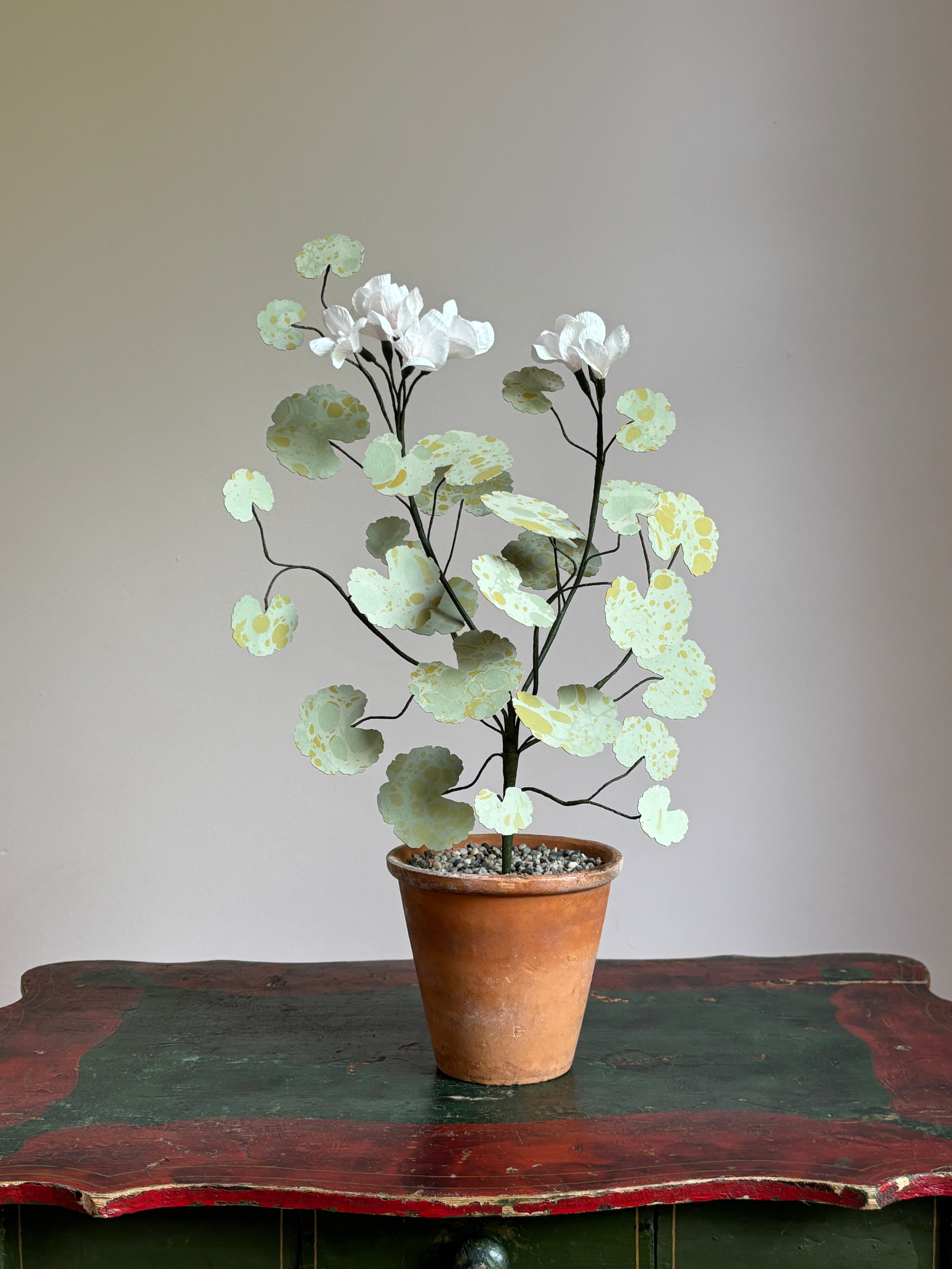 Paper Geranium