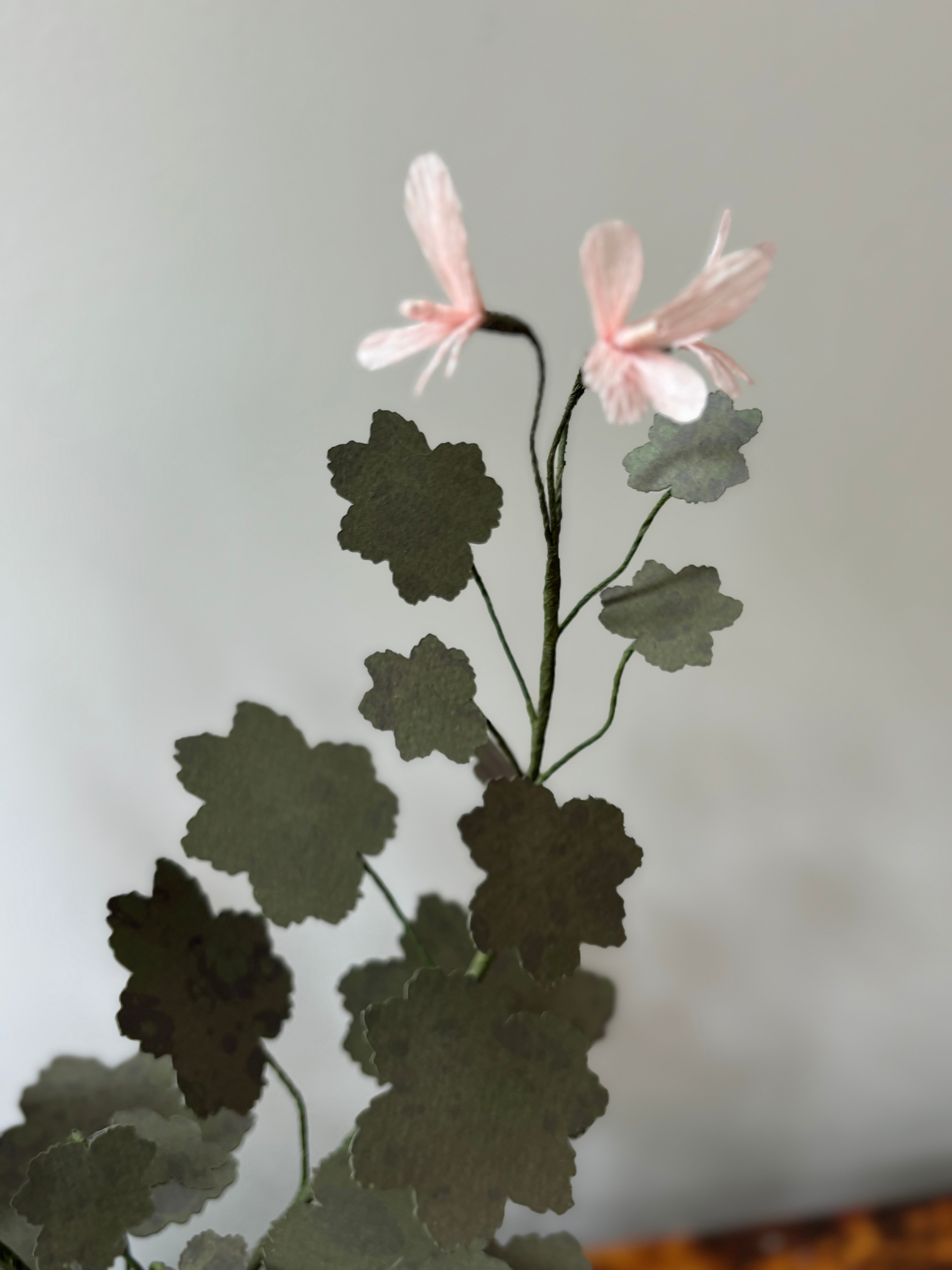 Paper Geranium