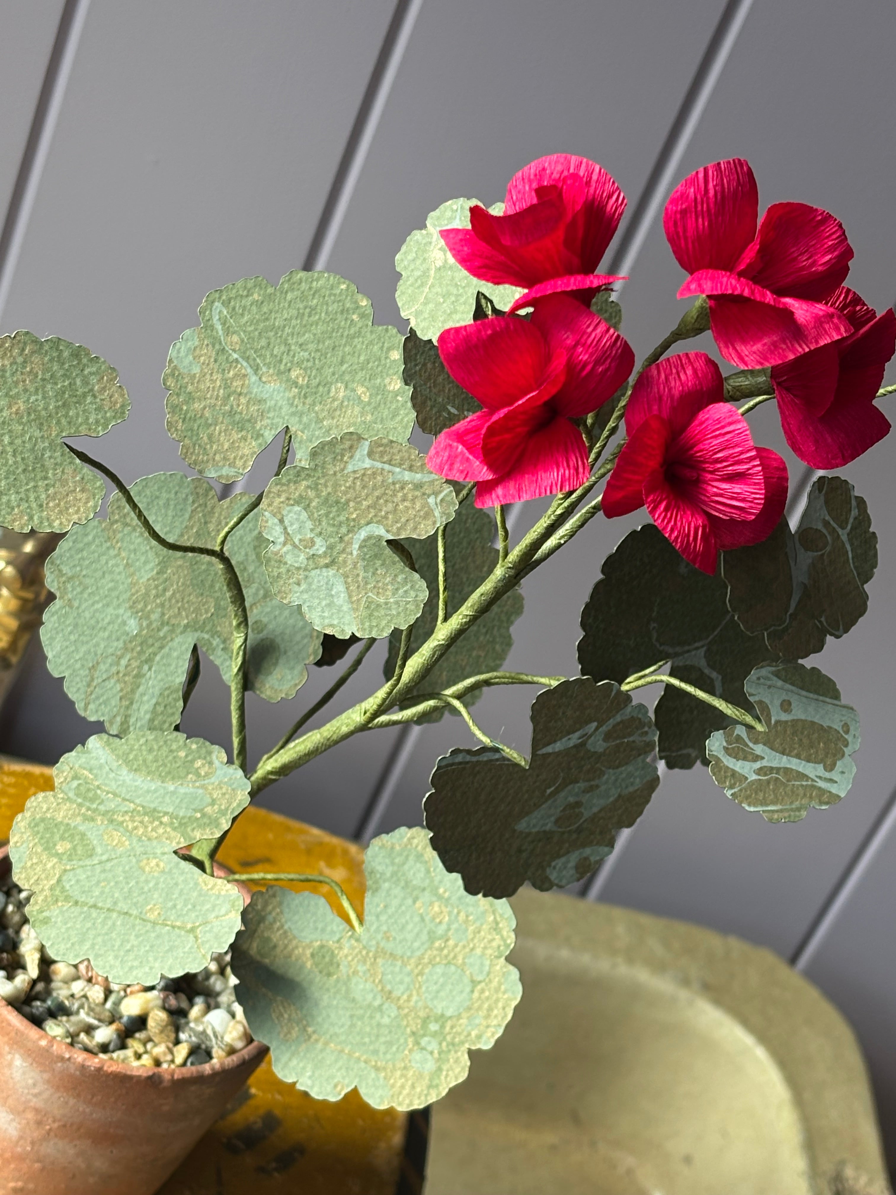 Paper Geranium