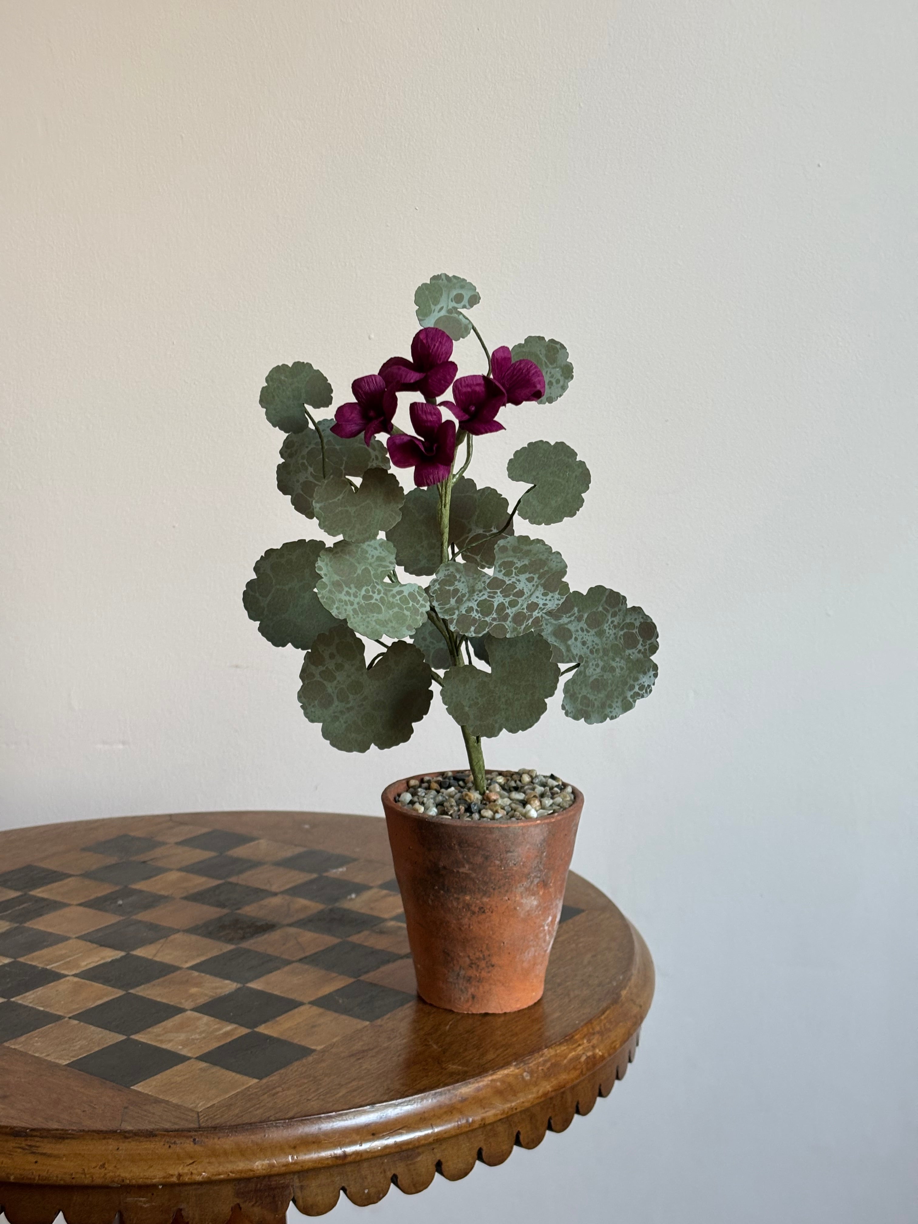 Paper Geranium